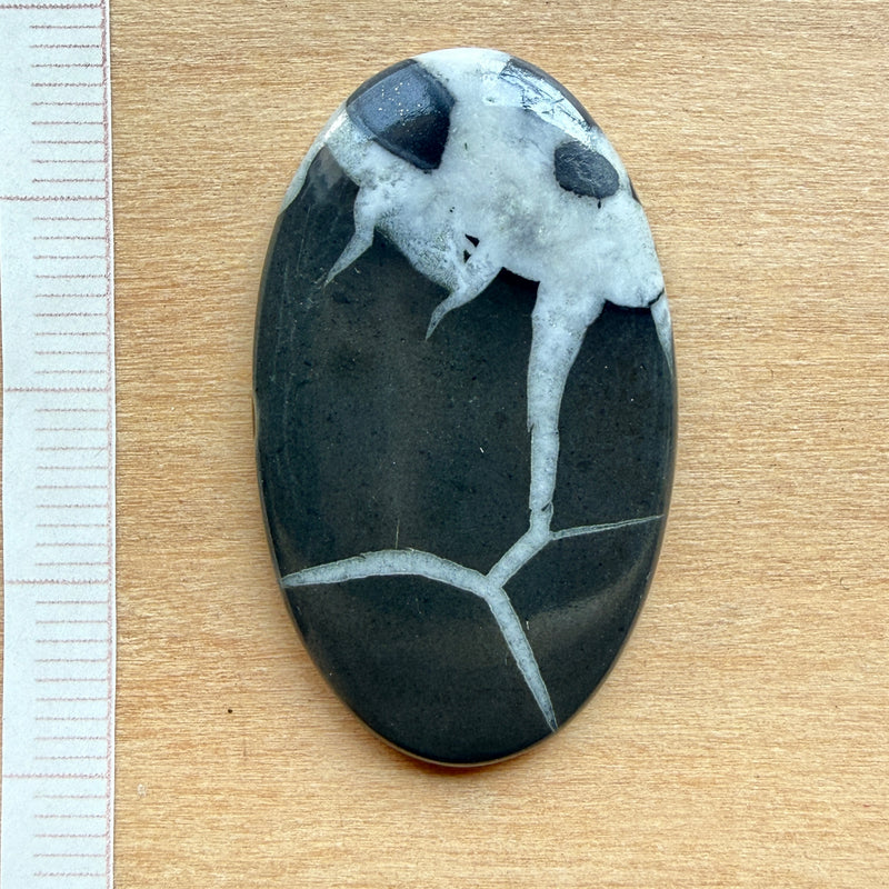 Cabochon Septaria Noire