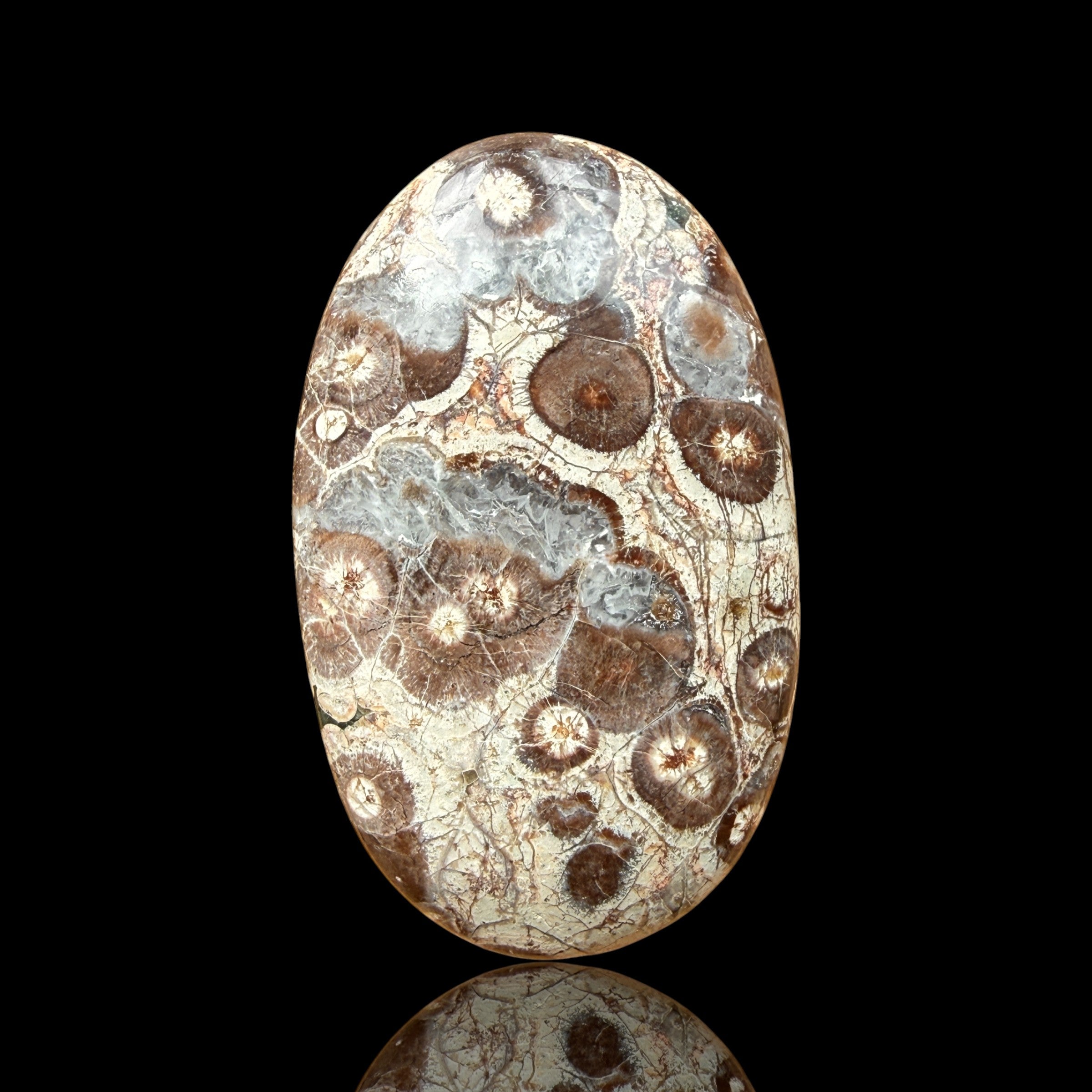 Cabochon Rhyolite Astéroïde