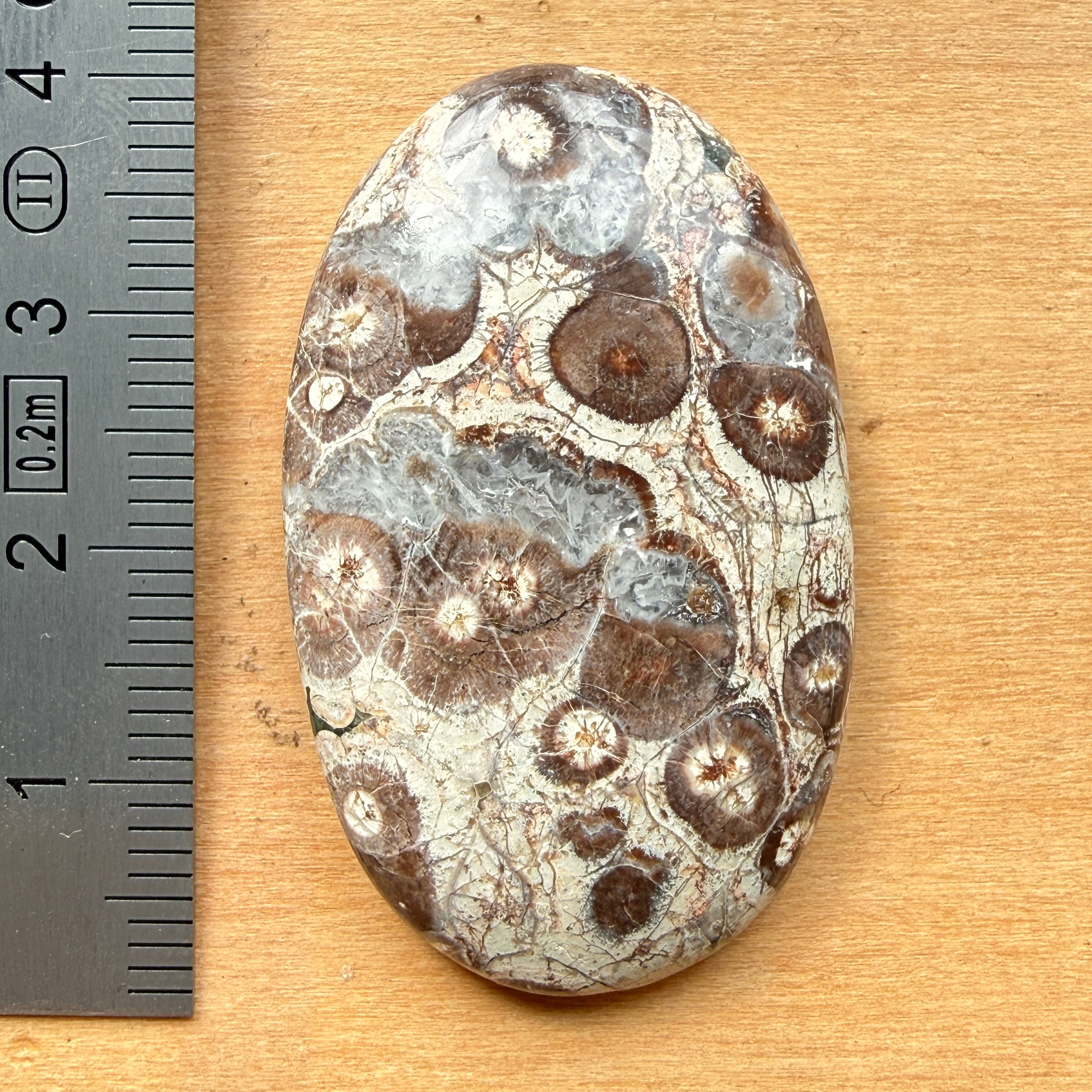 Cabochon Rhyolite Astéroïde