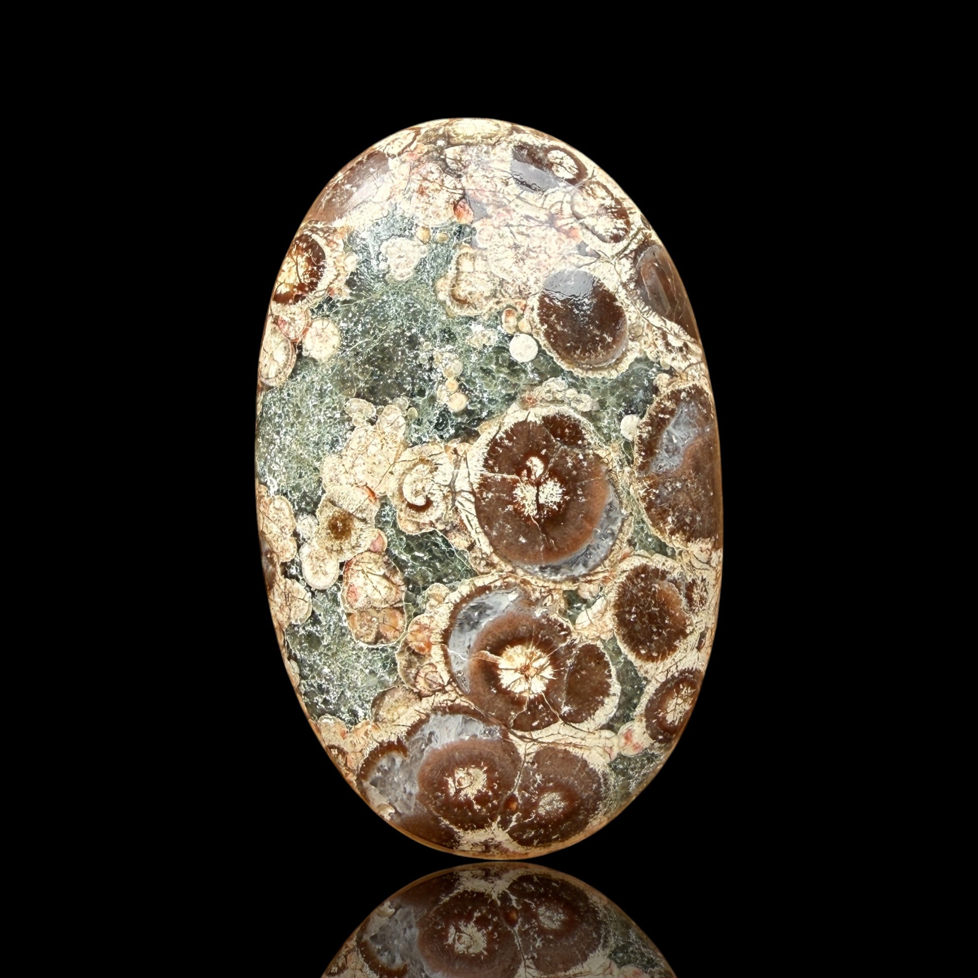 Cabochon Rhyolite Astéroïde