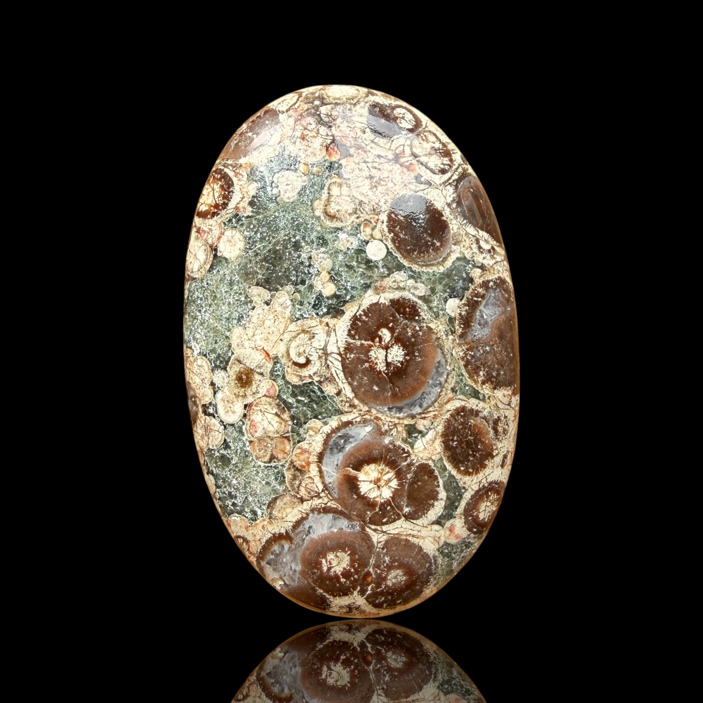 Cabochon Rhyolite Astéroïde