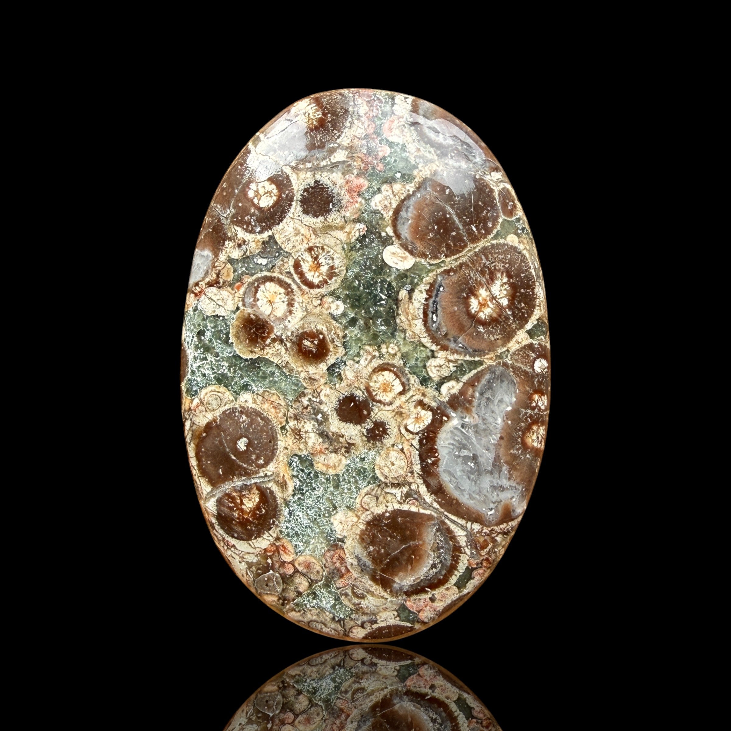 Cabochon Rhyolite Astéroïde
