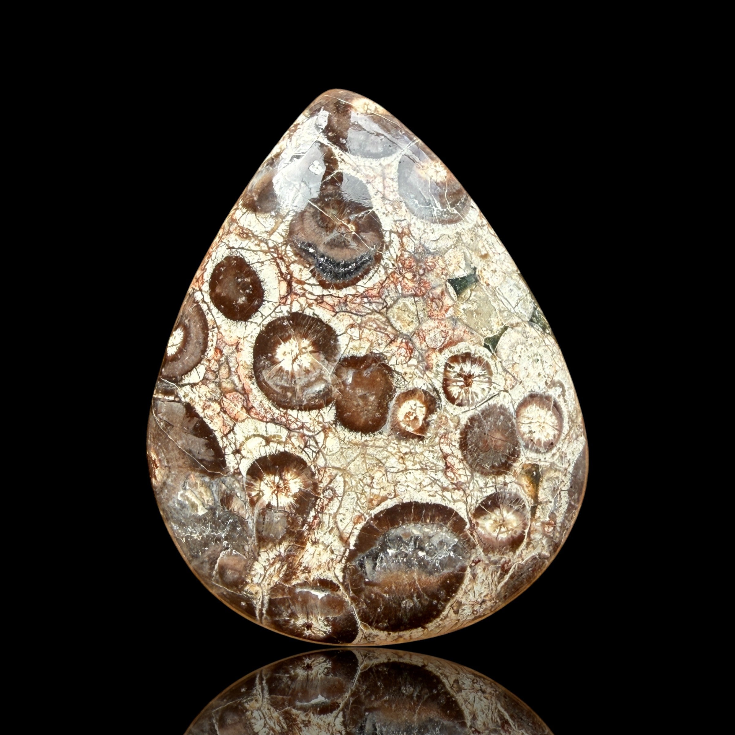 Cabochon Rhyolite Astéroïde