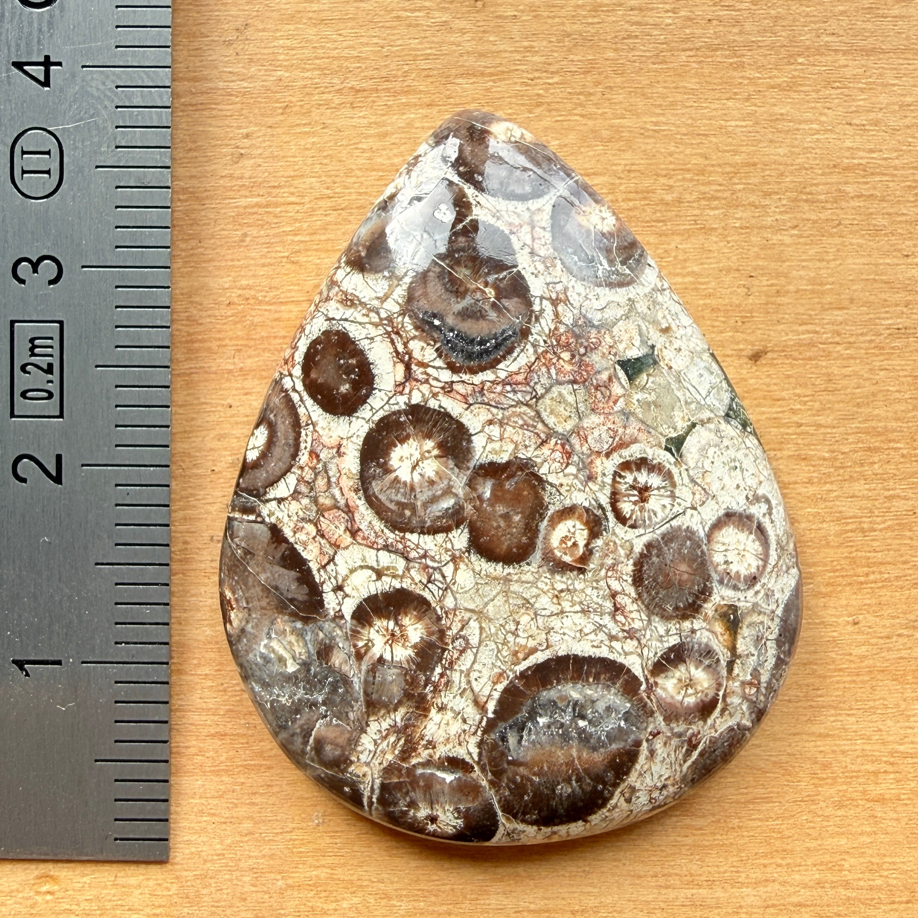 Cabochon Rhyolite Astéroïde