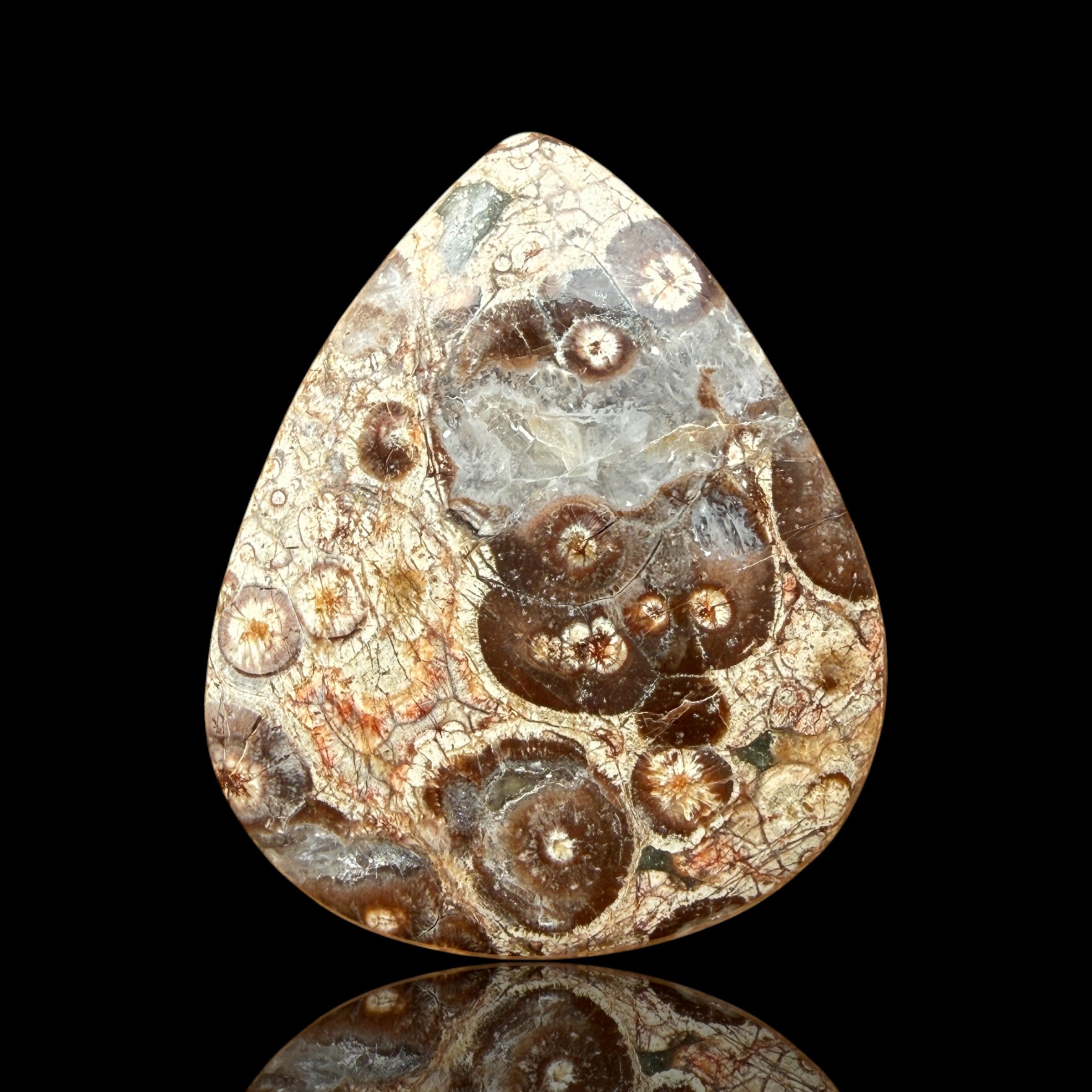 Cabochon Rhyolite Astéroïde