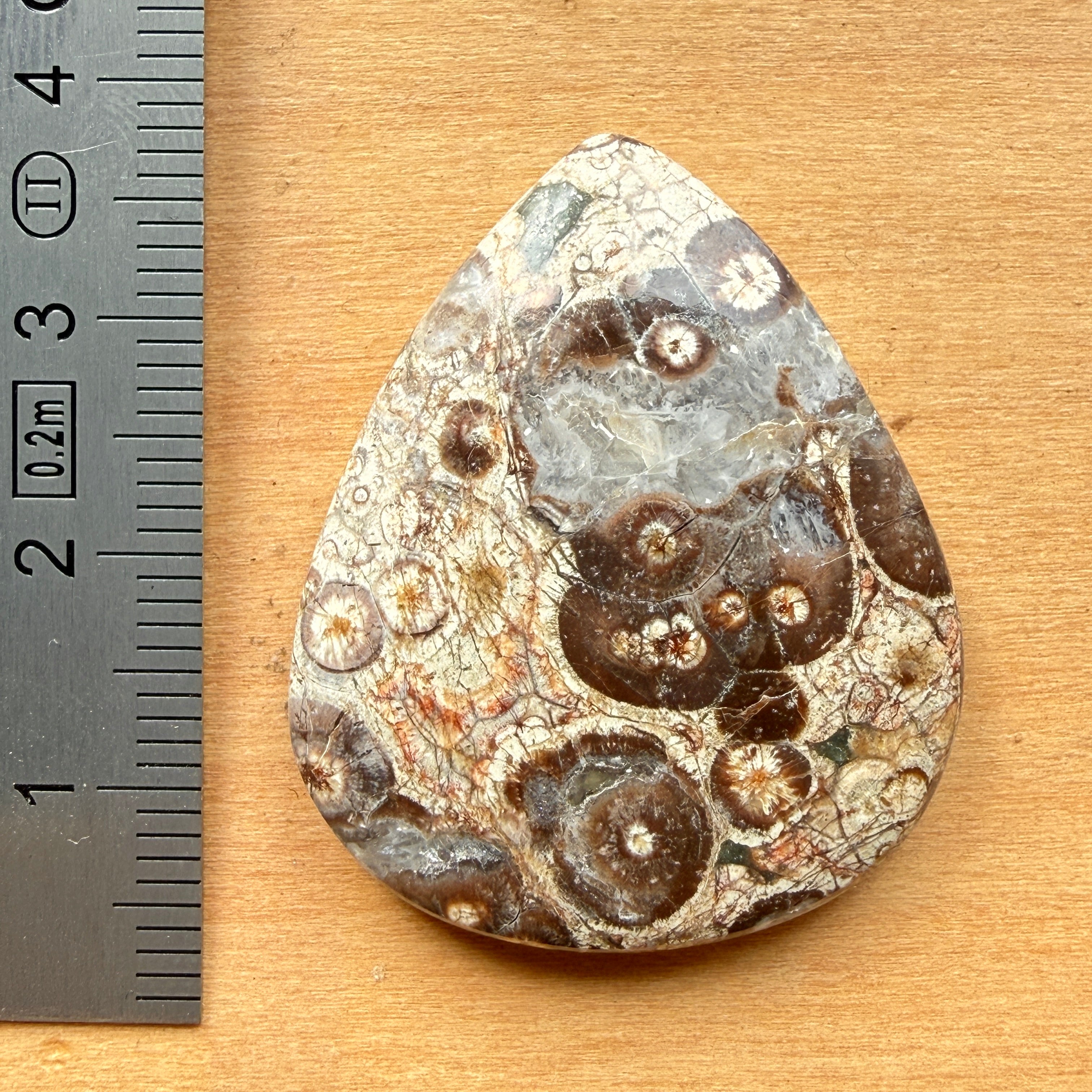 Cabochon Rhyolite Astéroïde