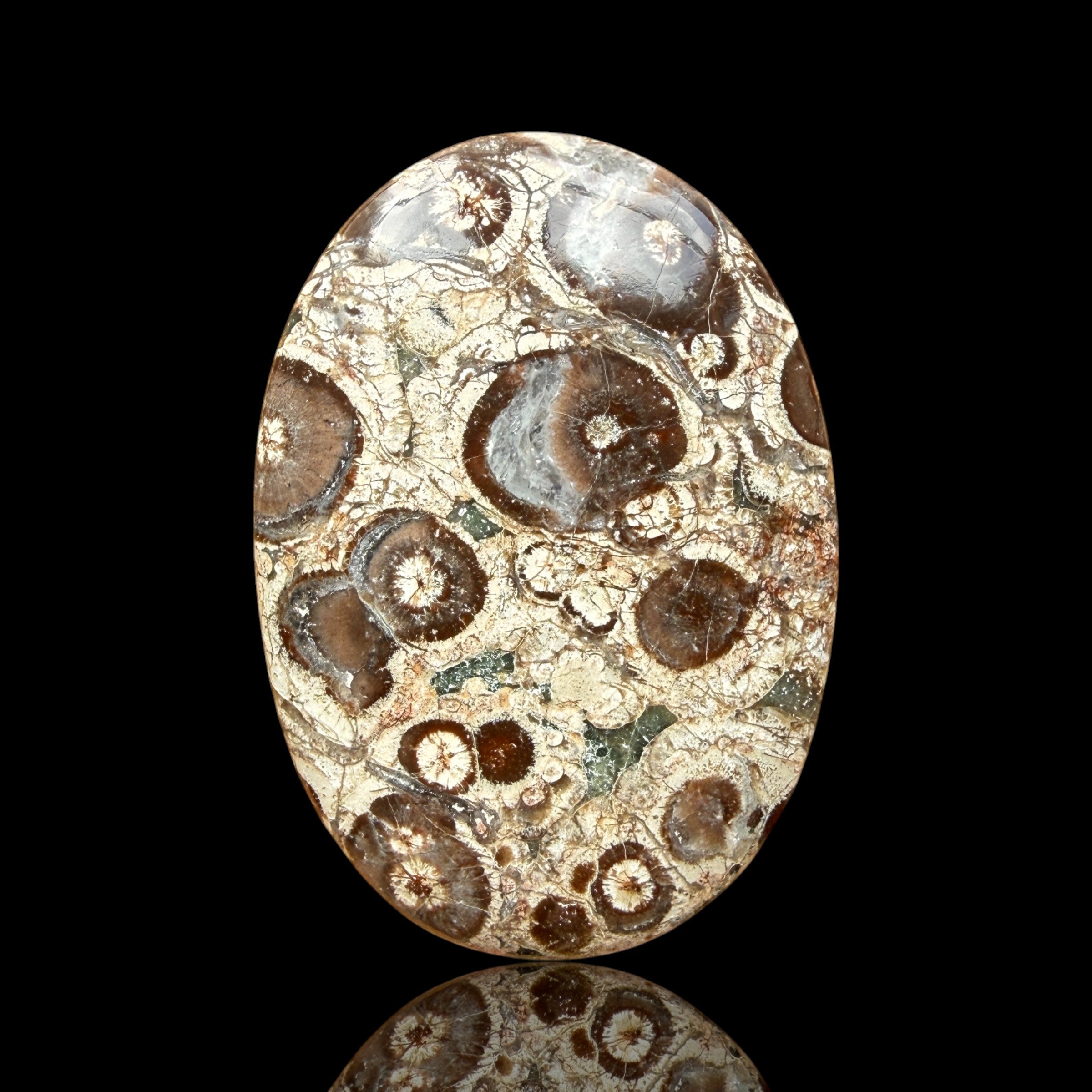 Cabochon Rhyolite Astéroïde