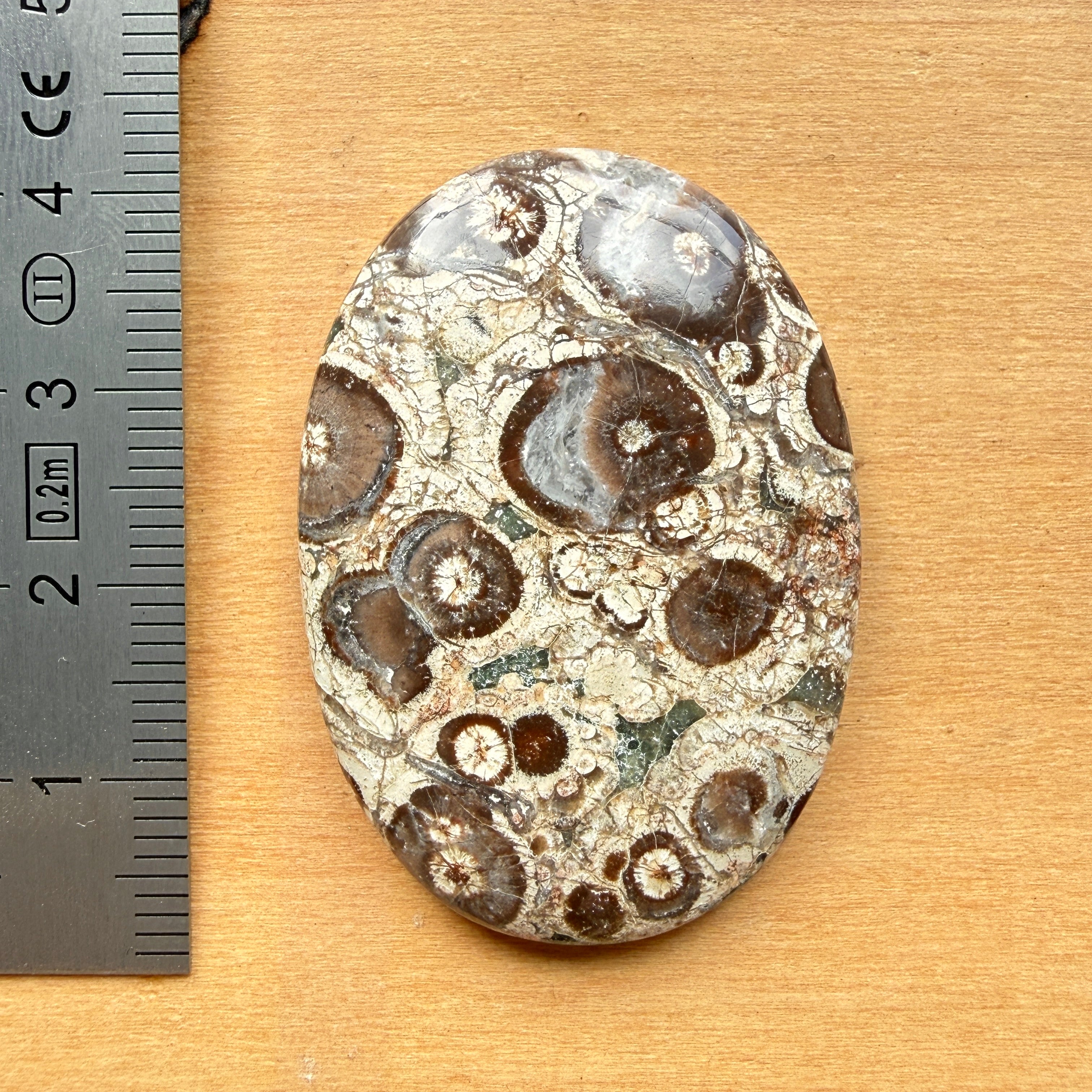 Cabochon Rhyolite Astéroïde