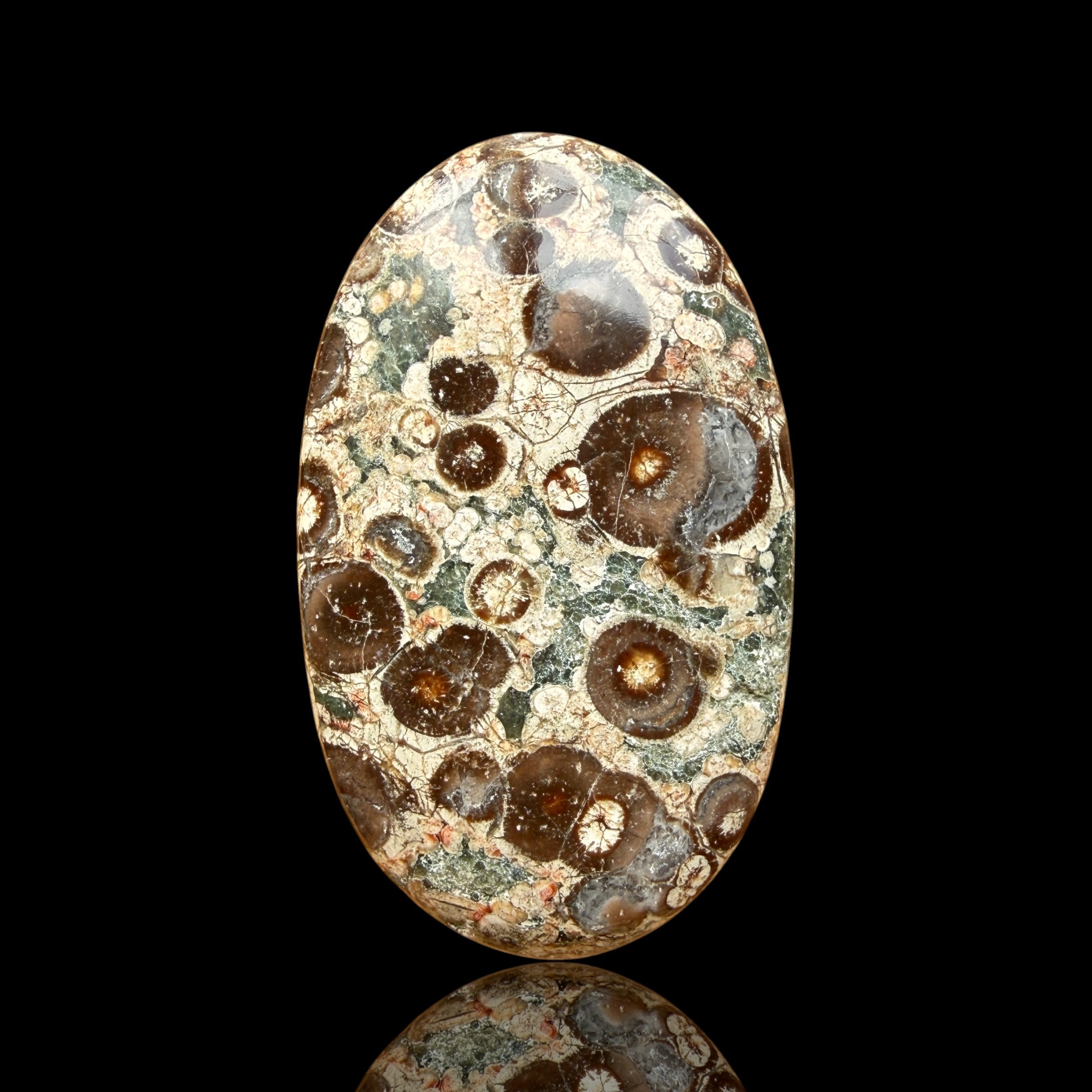 Cabochon Rhyolite Astéroïde