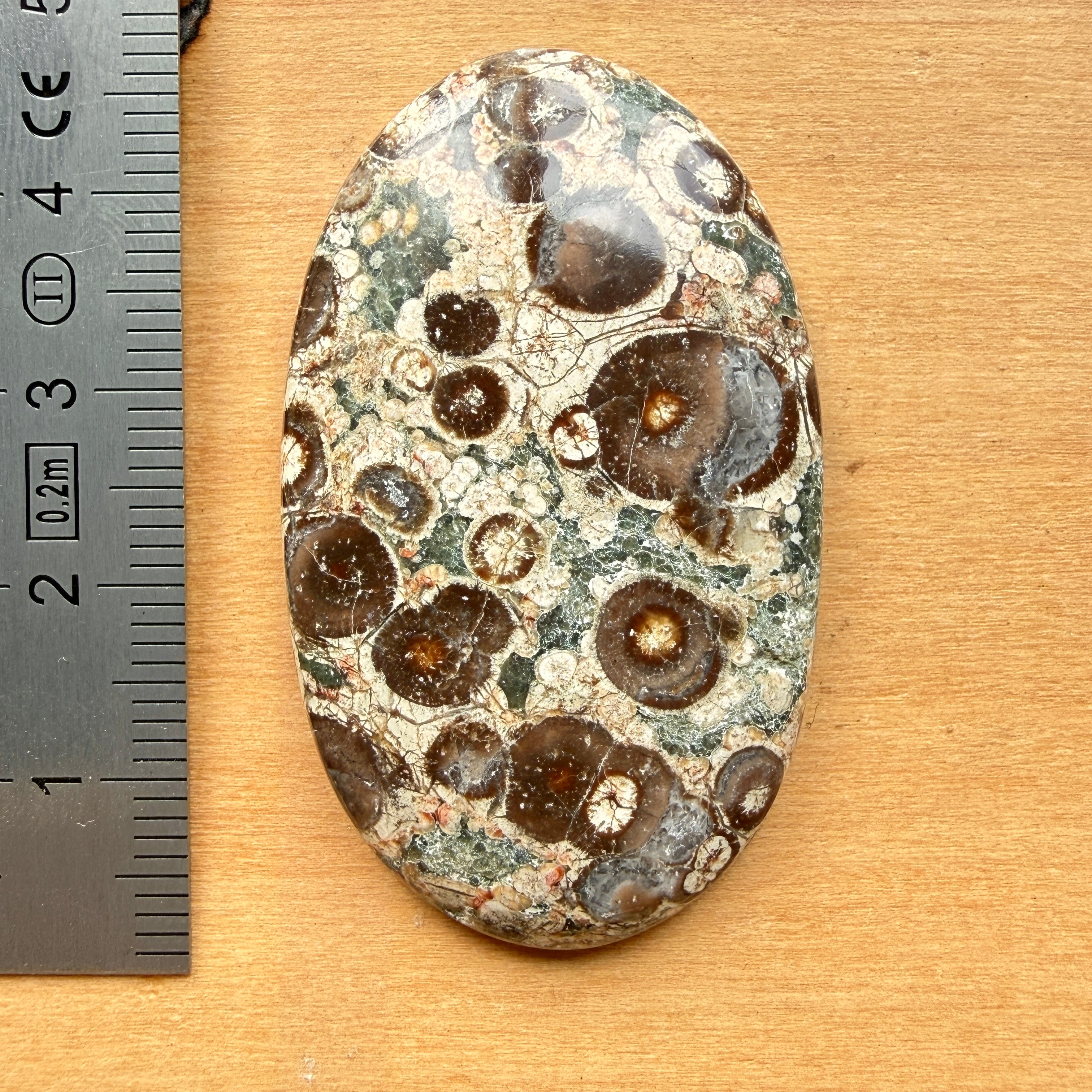 Cabochon Rhyolite Astéroïde