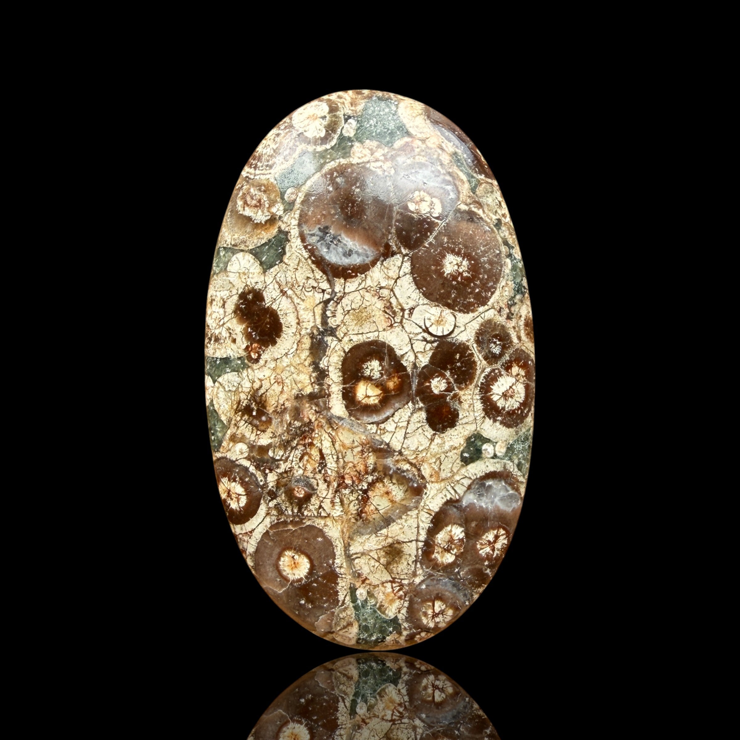 Cabochon Rhyolite Astéroïde