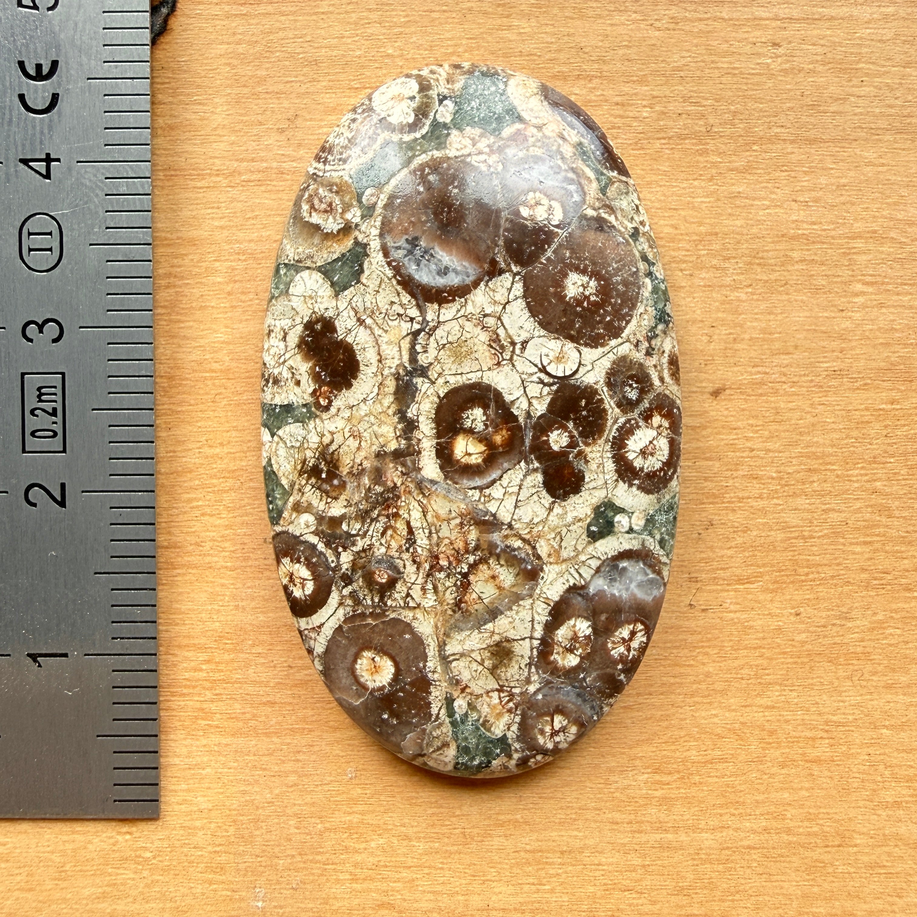 Cabochon Rhyolite Astéroïde