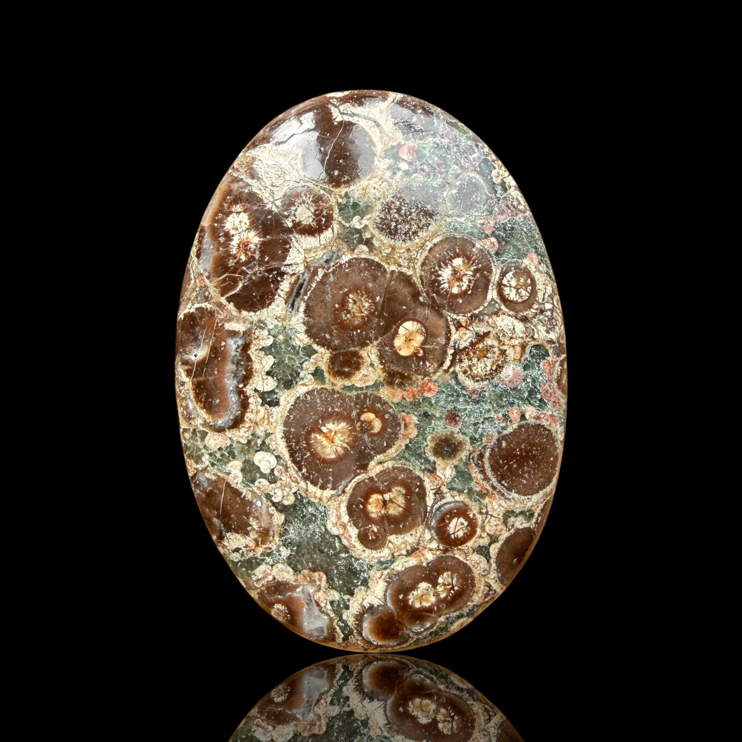 Cabochon Rhyolite Astéroïde