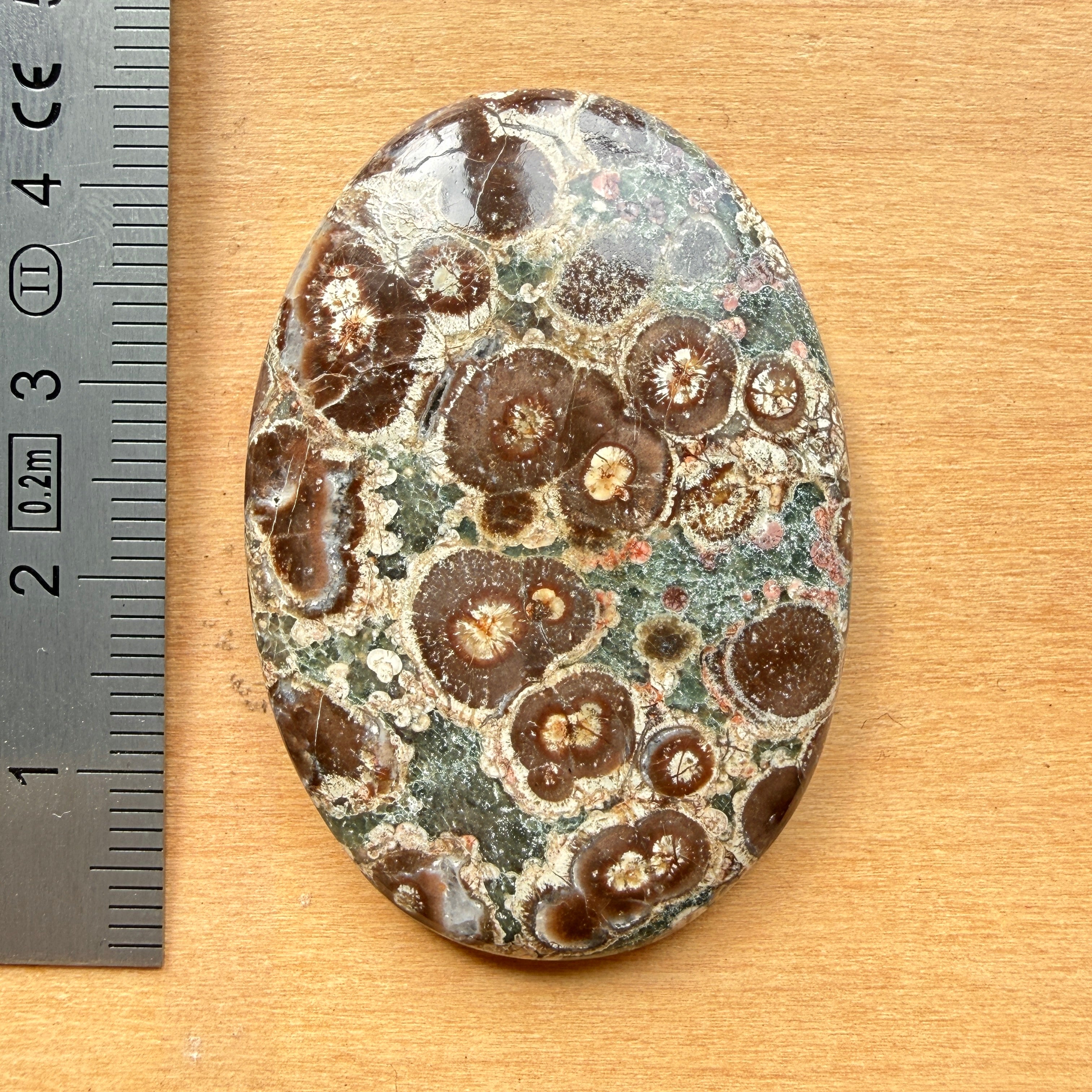 Cabochon Rhyolite Astéroïde