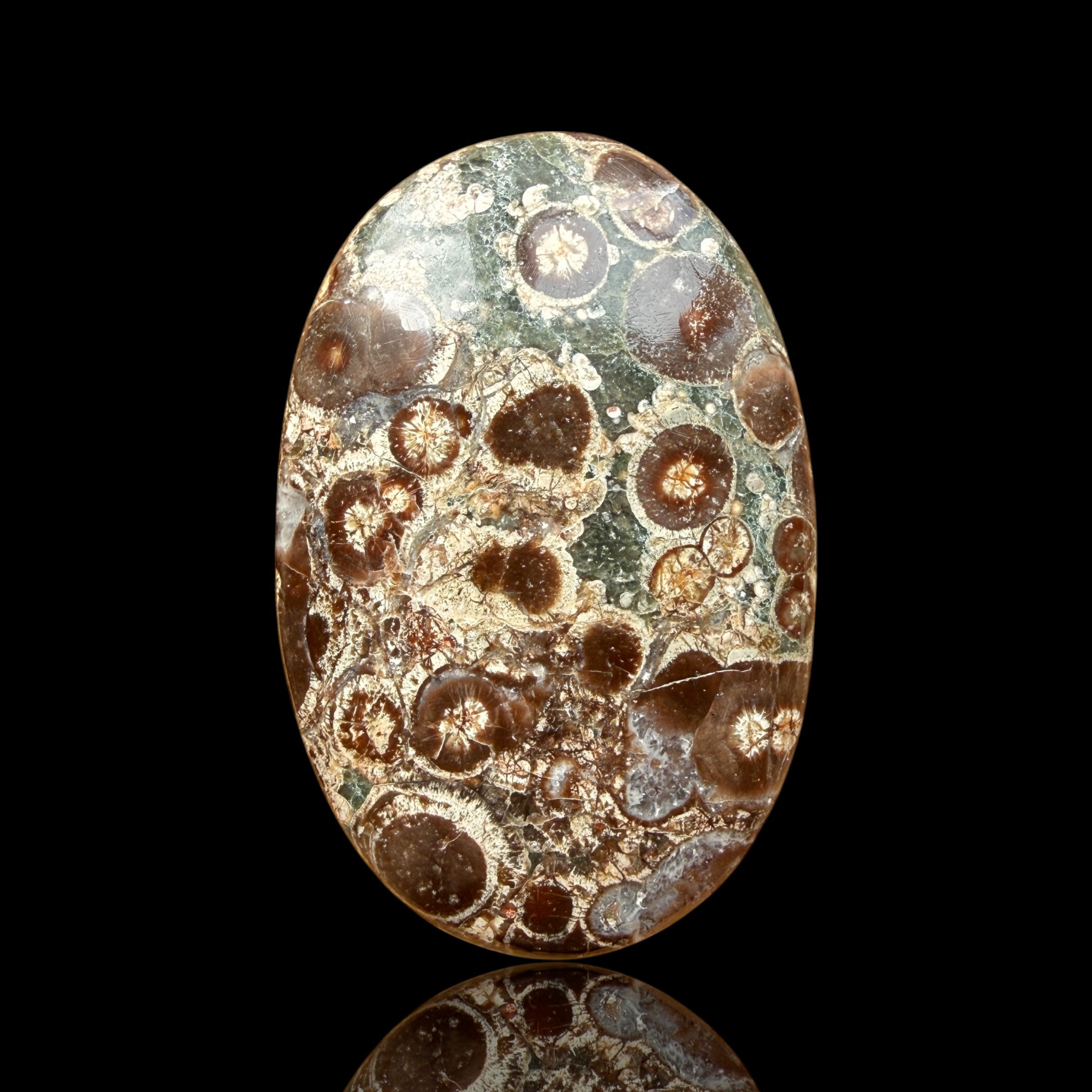 Cabochon Rhyolite Astéroïde