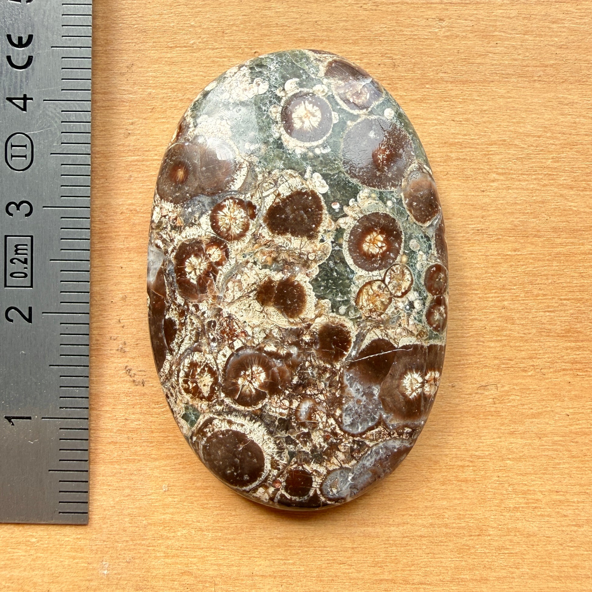 Cabochon Rhyolite Astéroïde