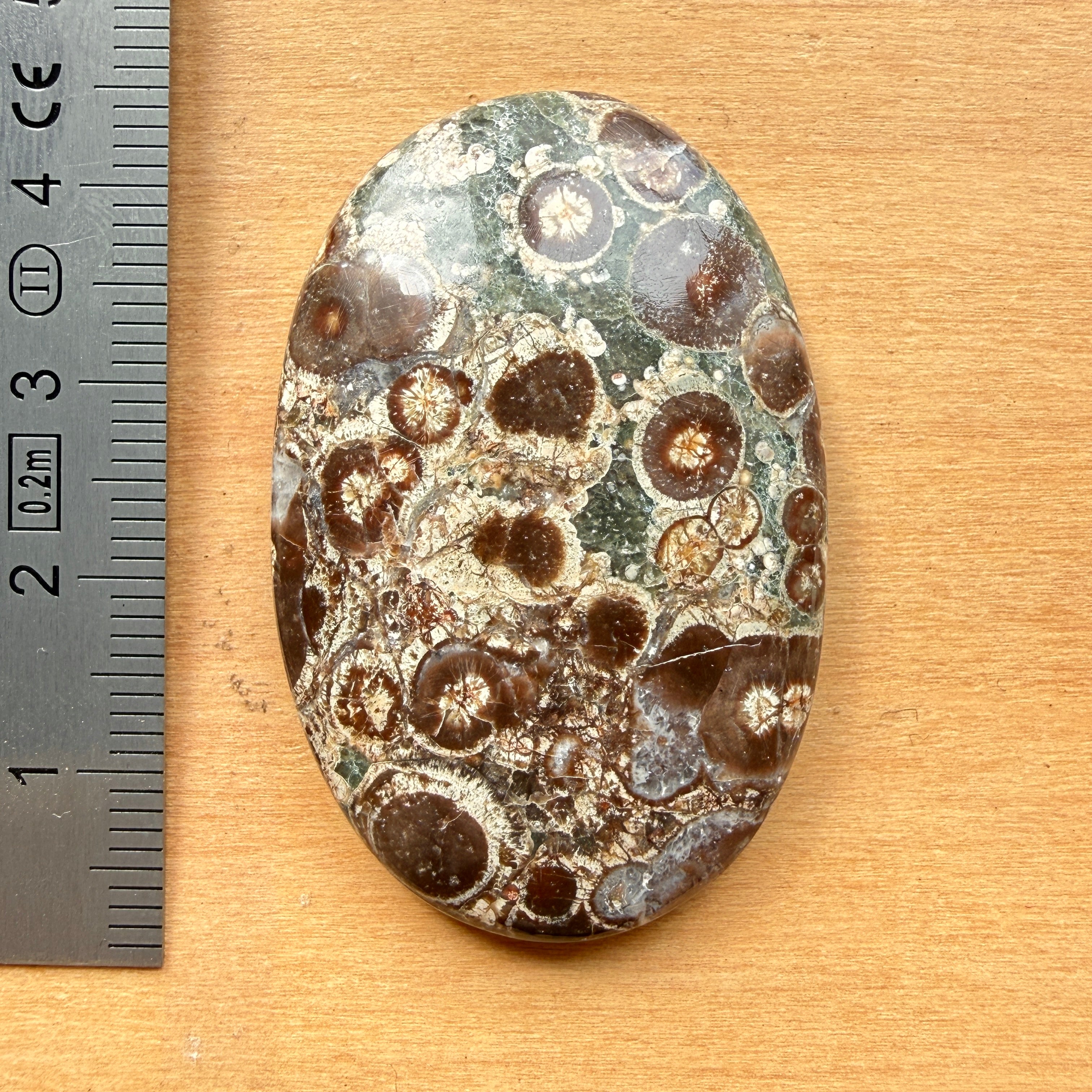 Cabochon Rhyolite Astéroïde