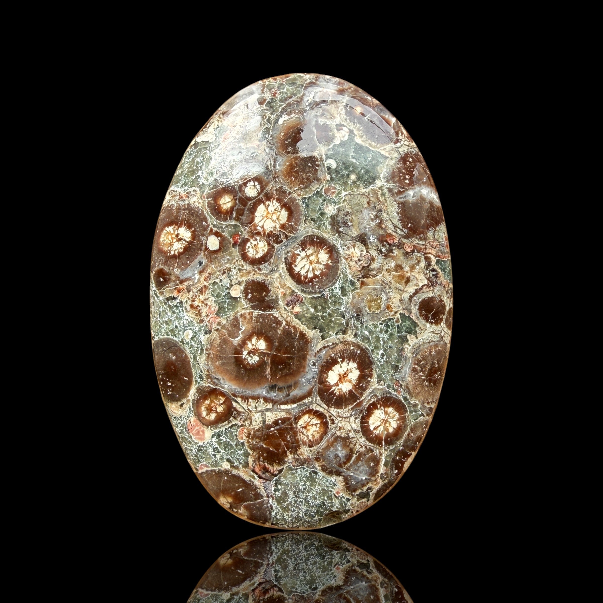 Cabochon Rhyolite Astéroïde