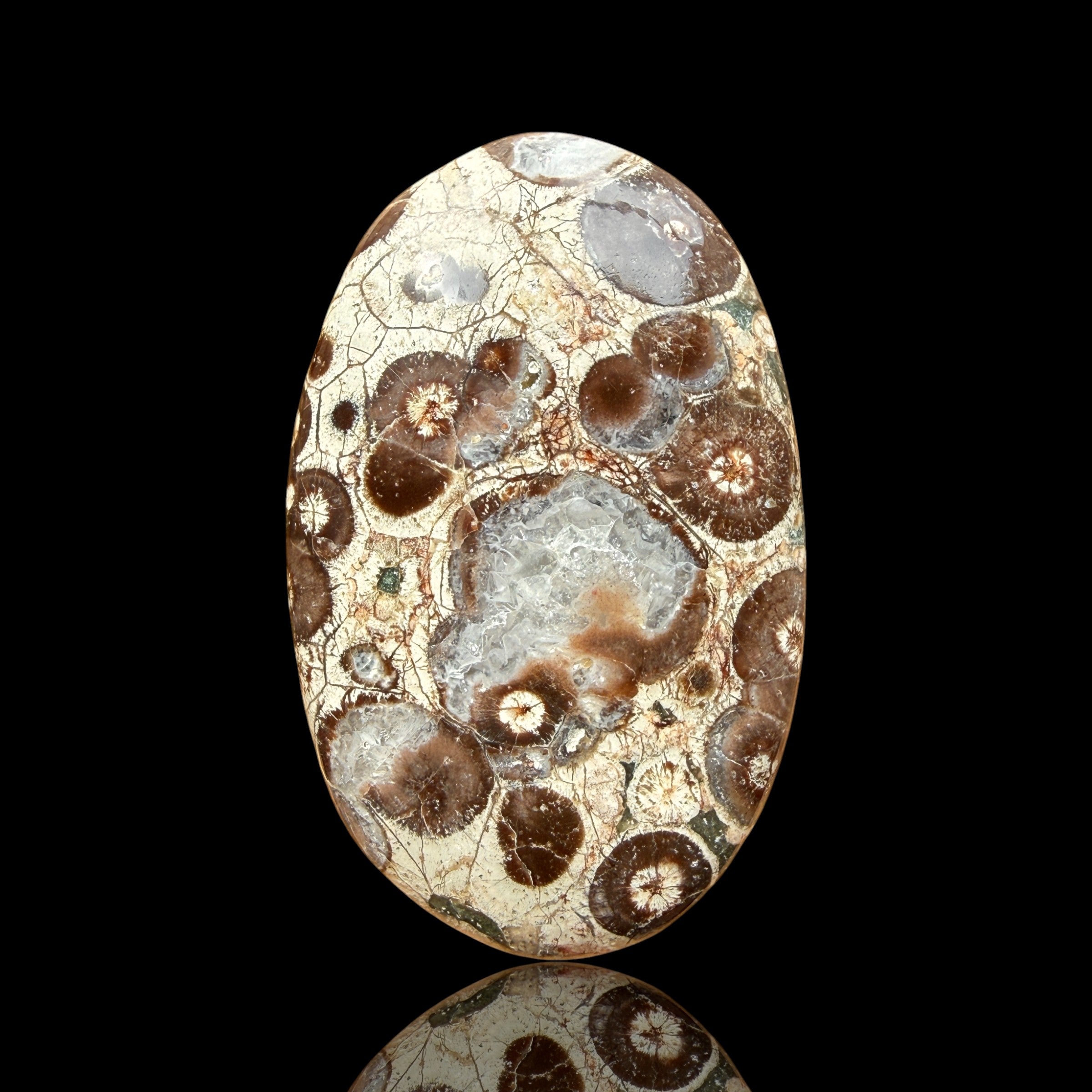 Cabochon Rhyolite Astéroïde