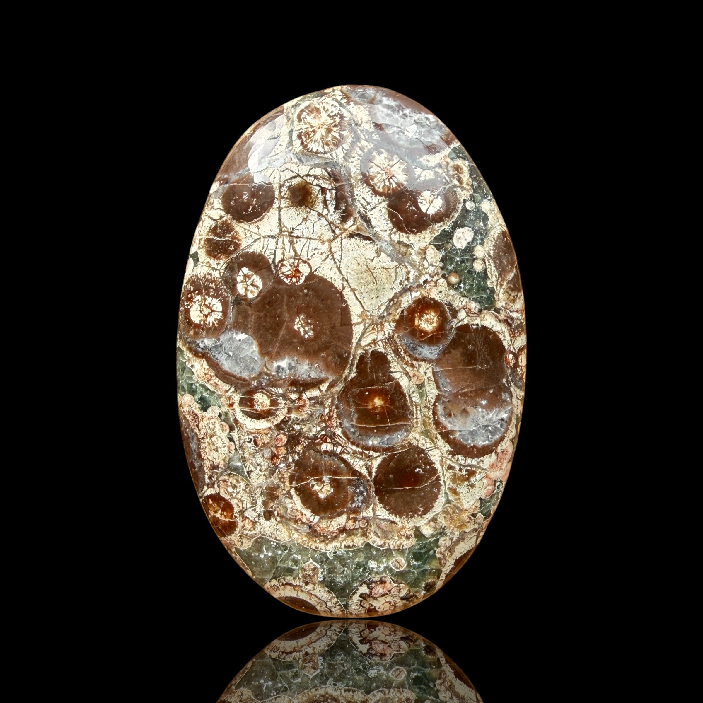 Cabochon Rhyolite Astéroïde