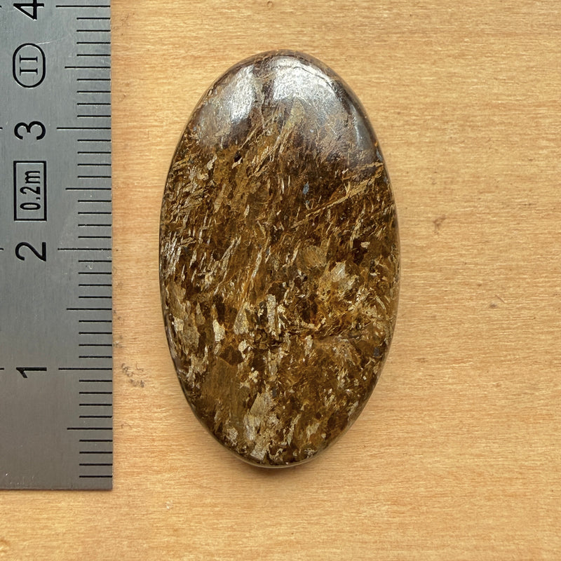 Cabochon Bronzite