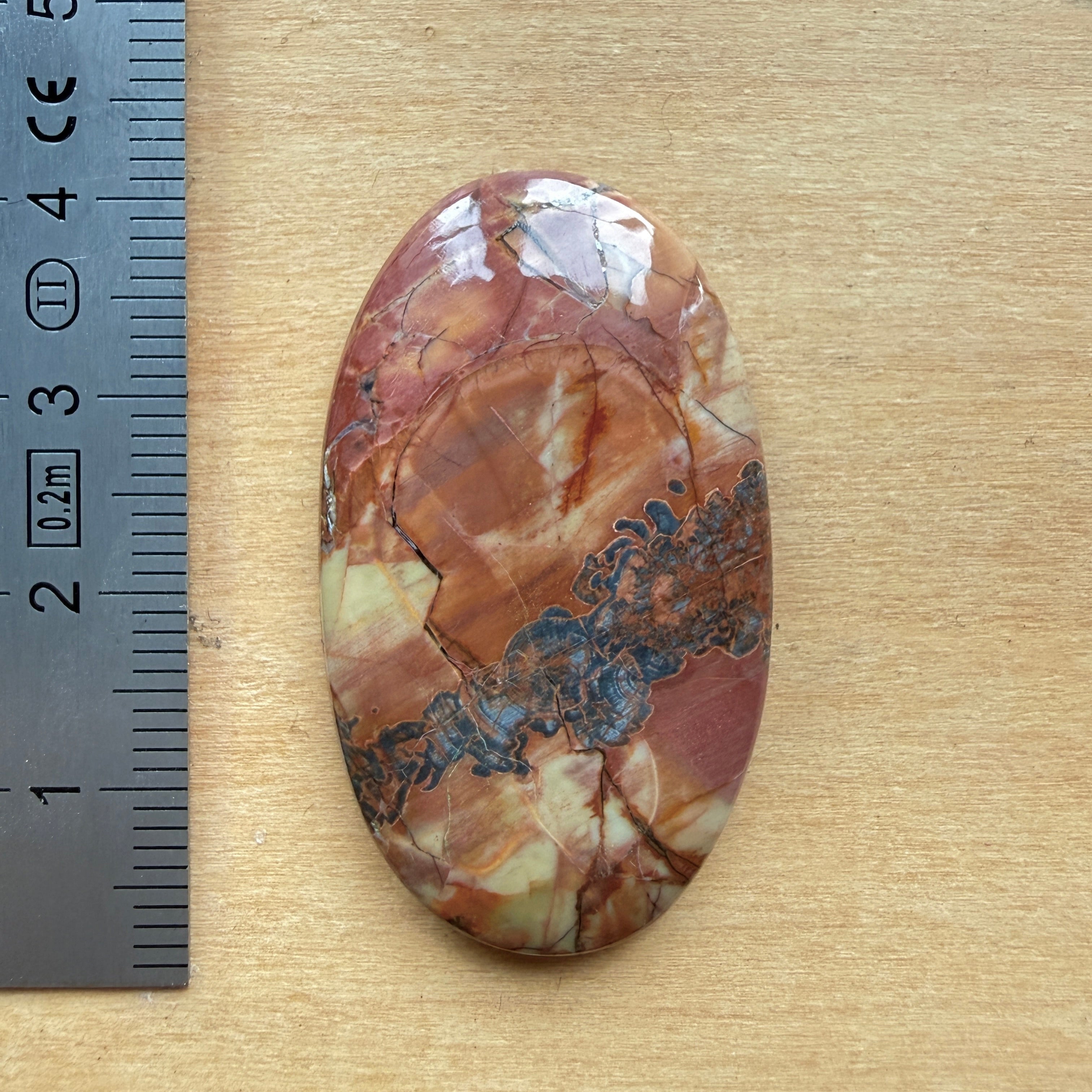 Cabochon Jaspe Butterfly