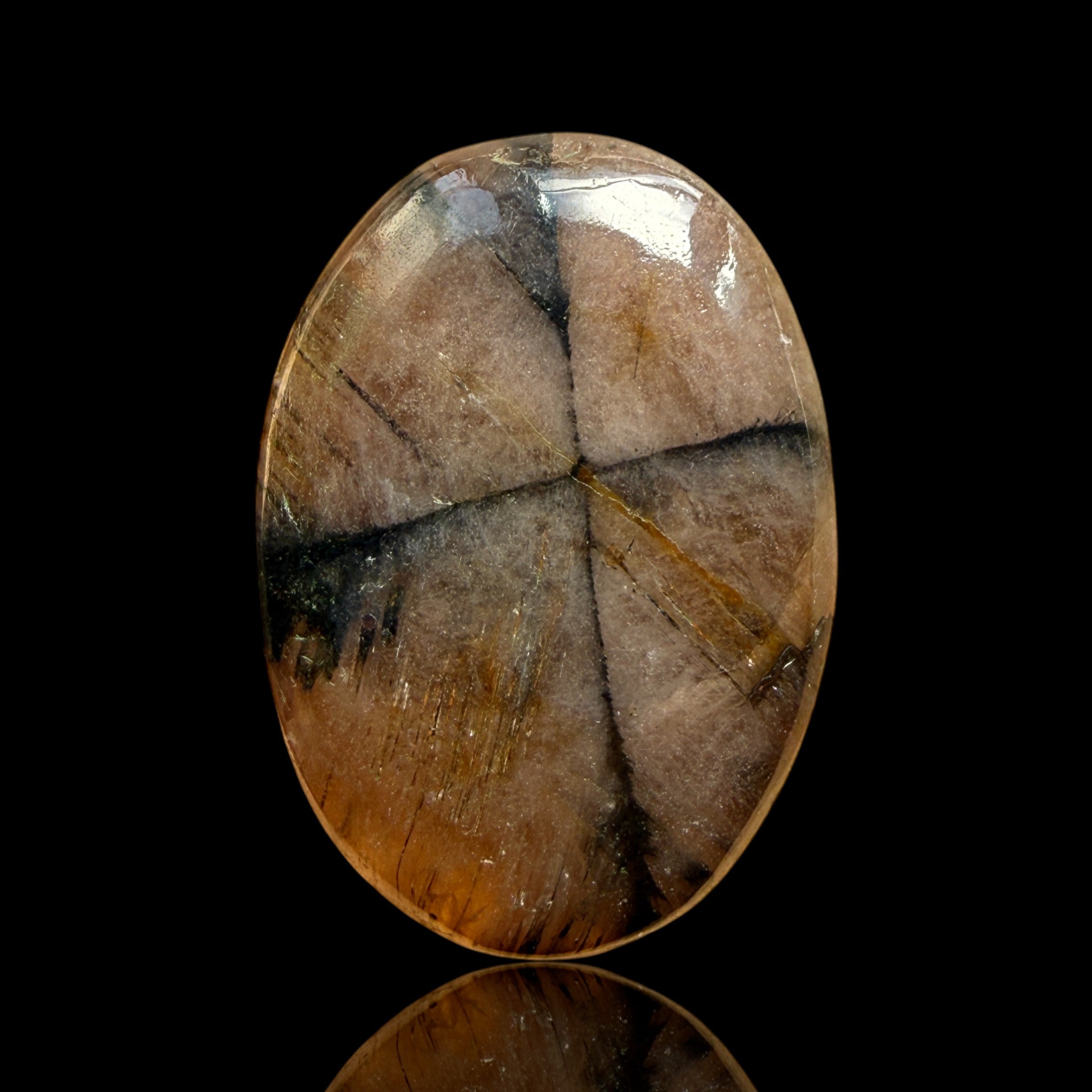 Cabochon Chiastolite