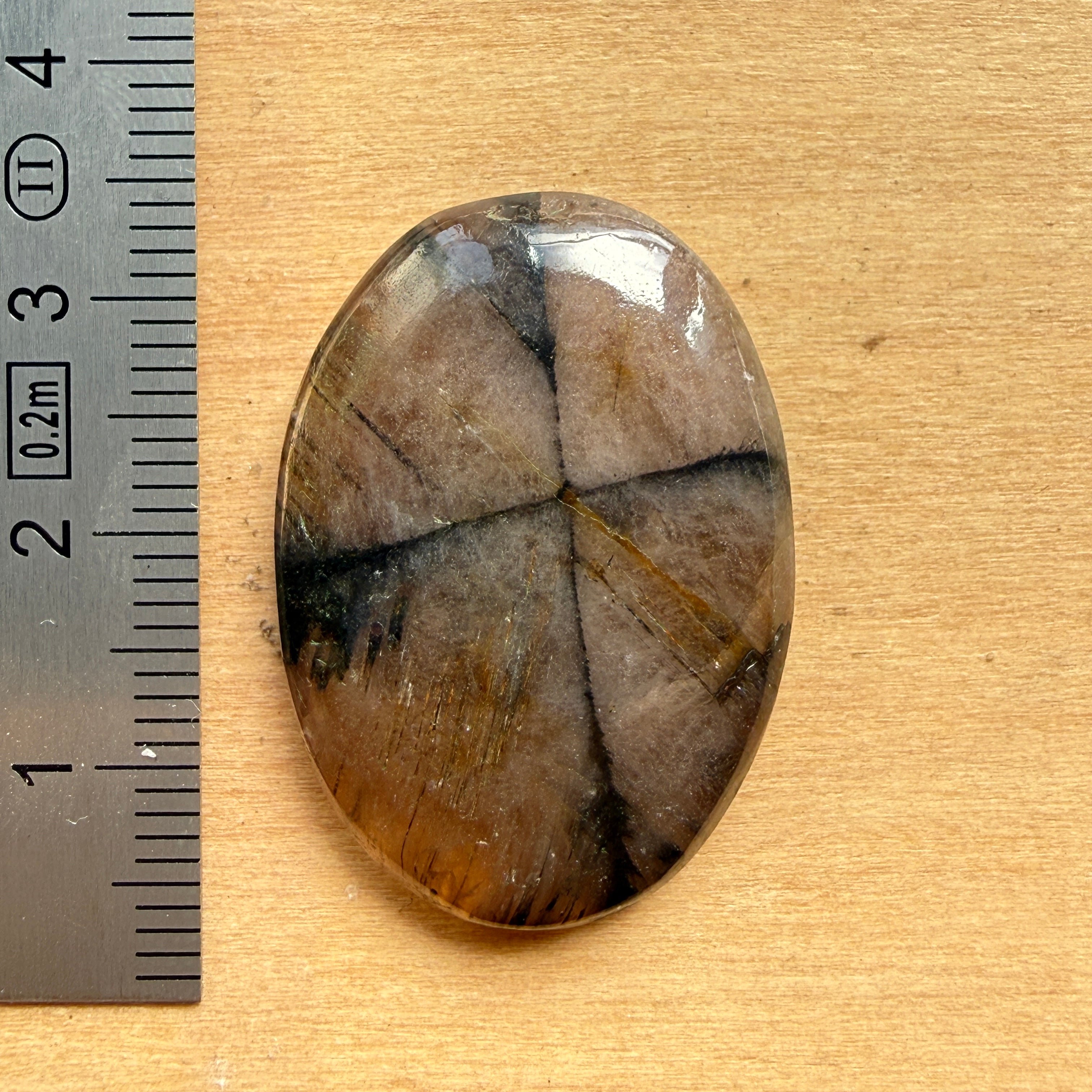 Cabochon Chiastolite