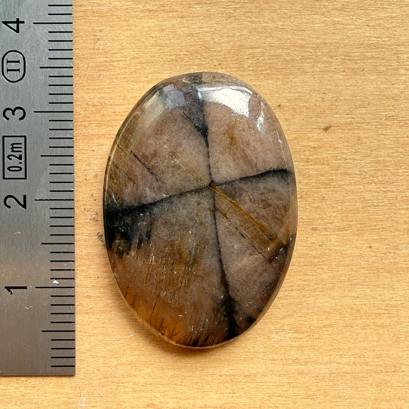 Cabochon Chiastolite