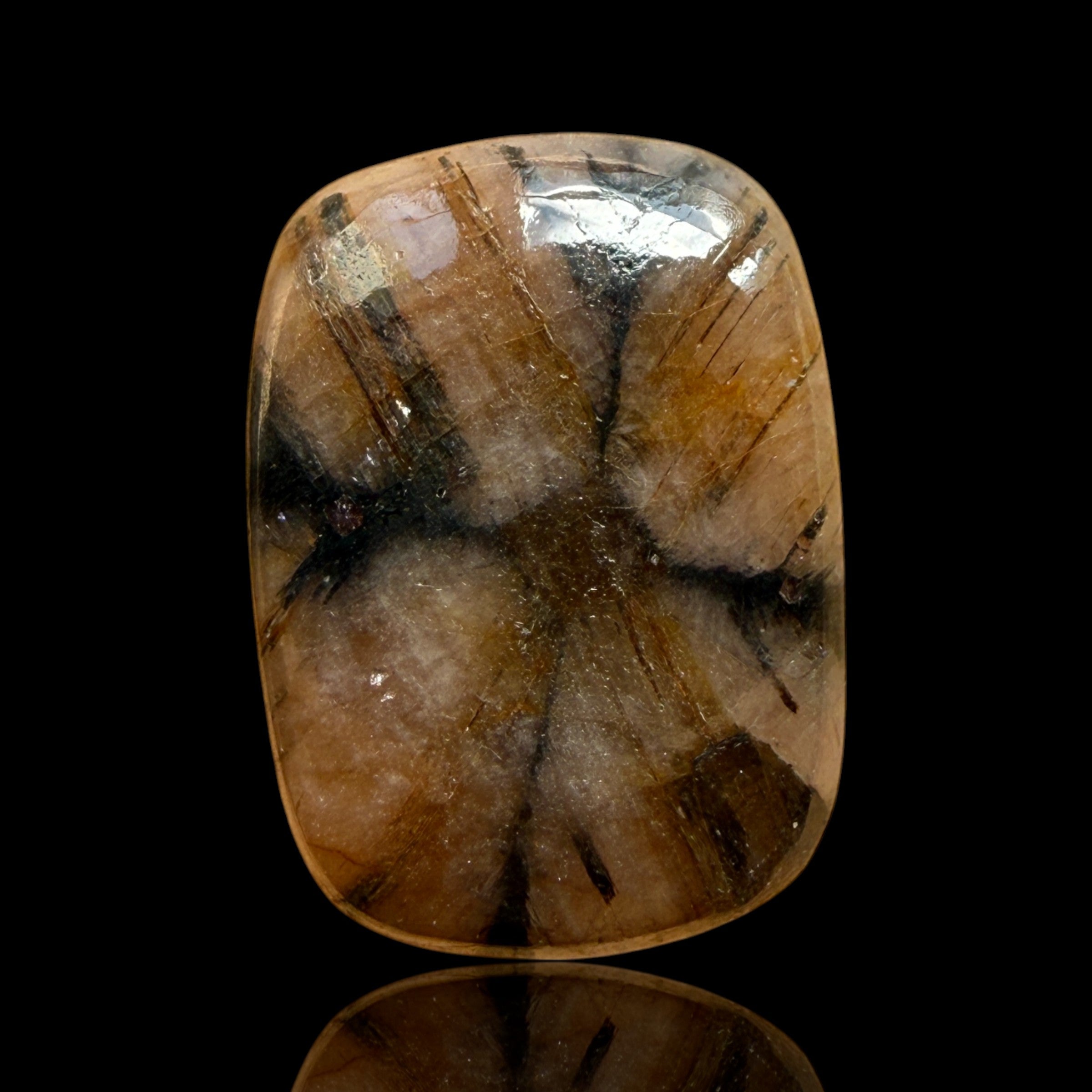 Cabochon Chiastolite