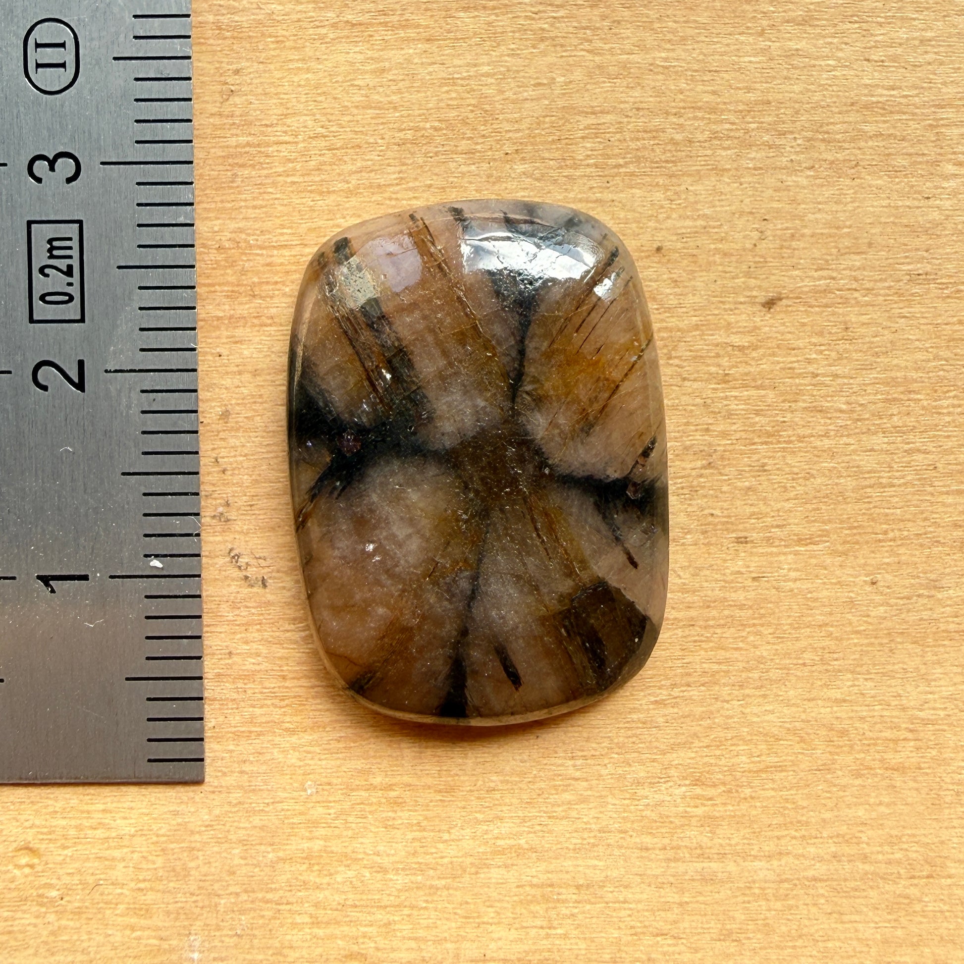 Cabochon Chiastolite