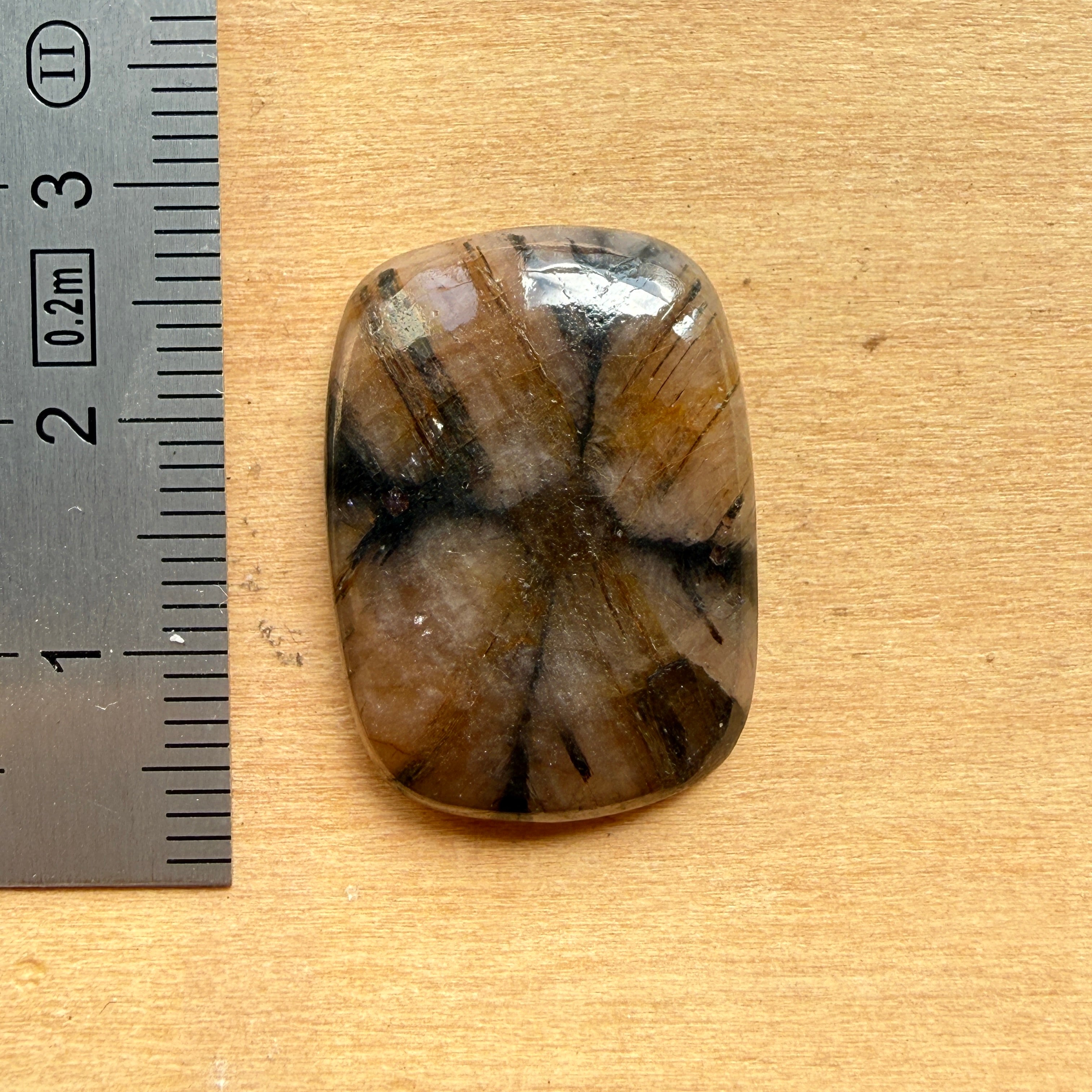 Cabochon Chiastolite