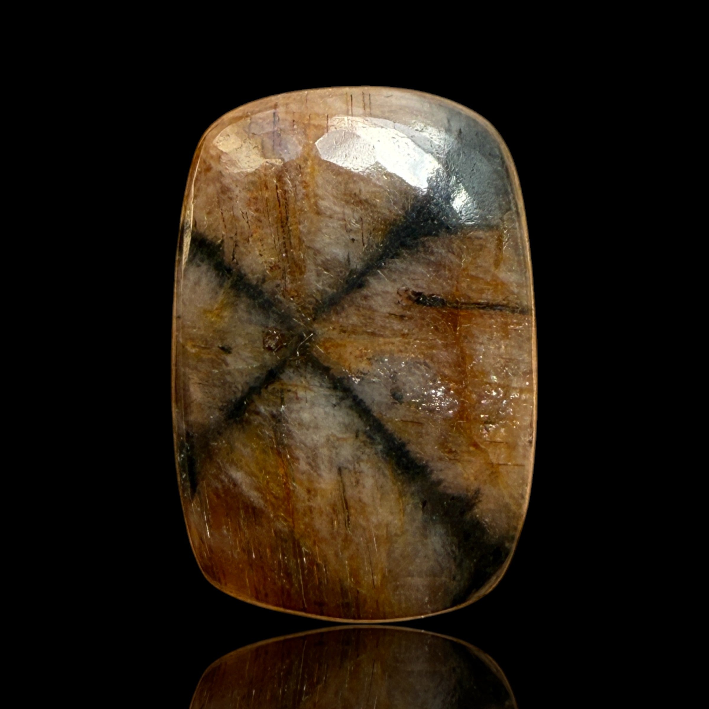 Cabochon Chiastolite