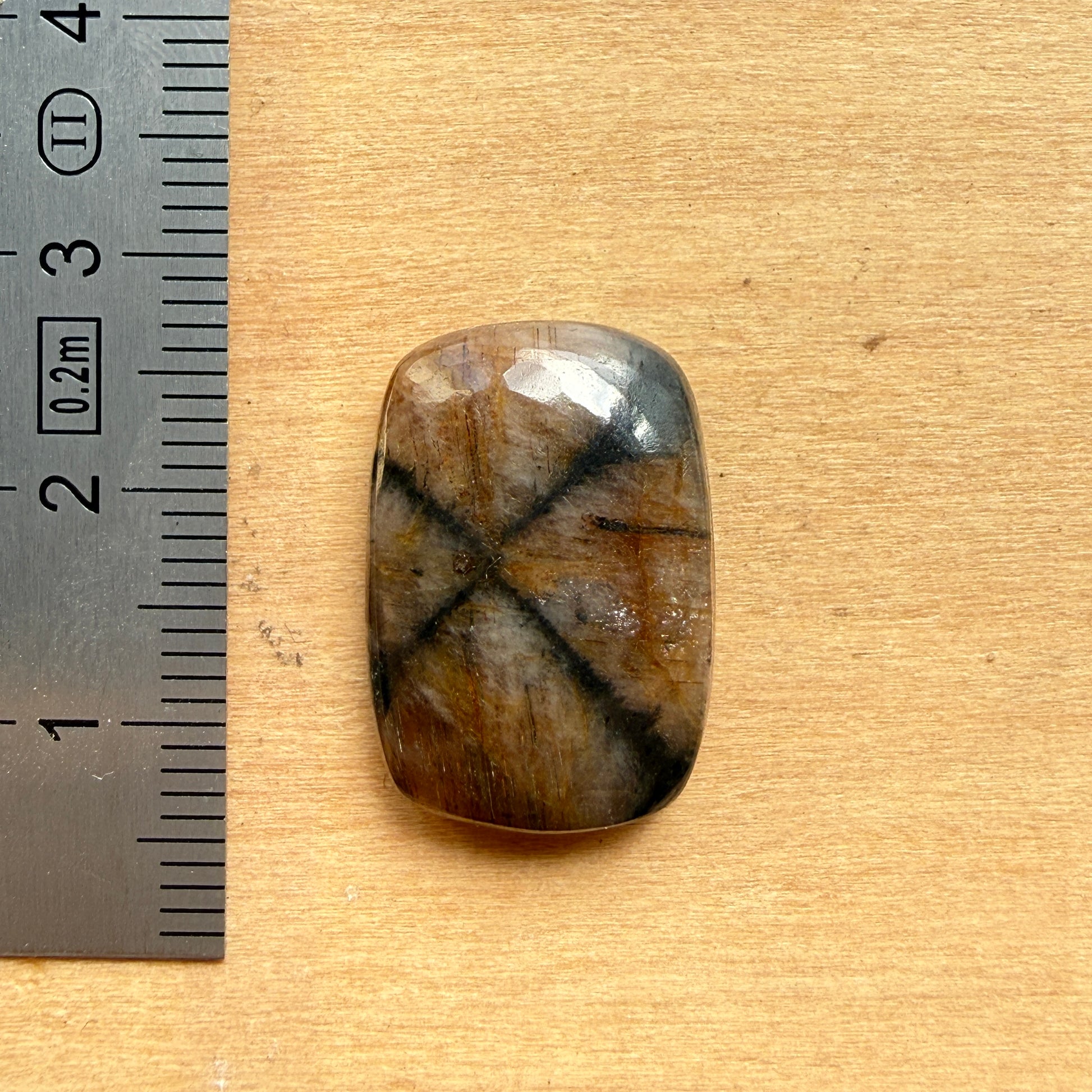 Cabochon Chiastolite