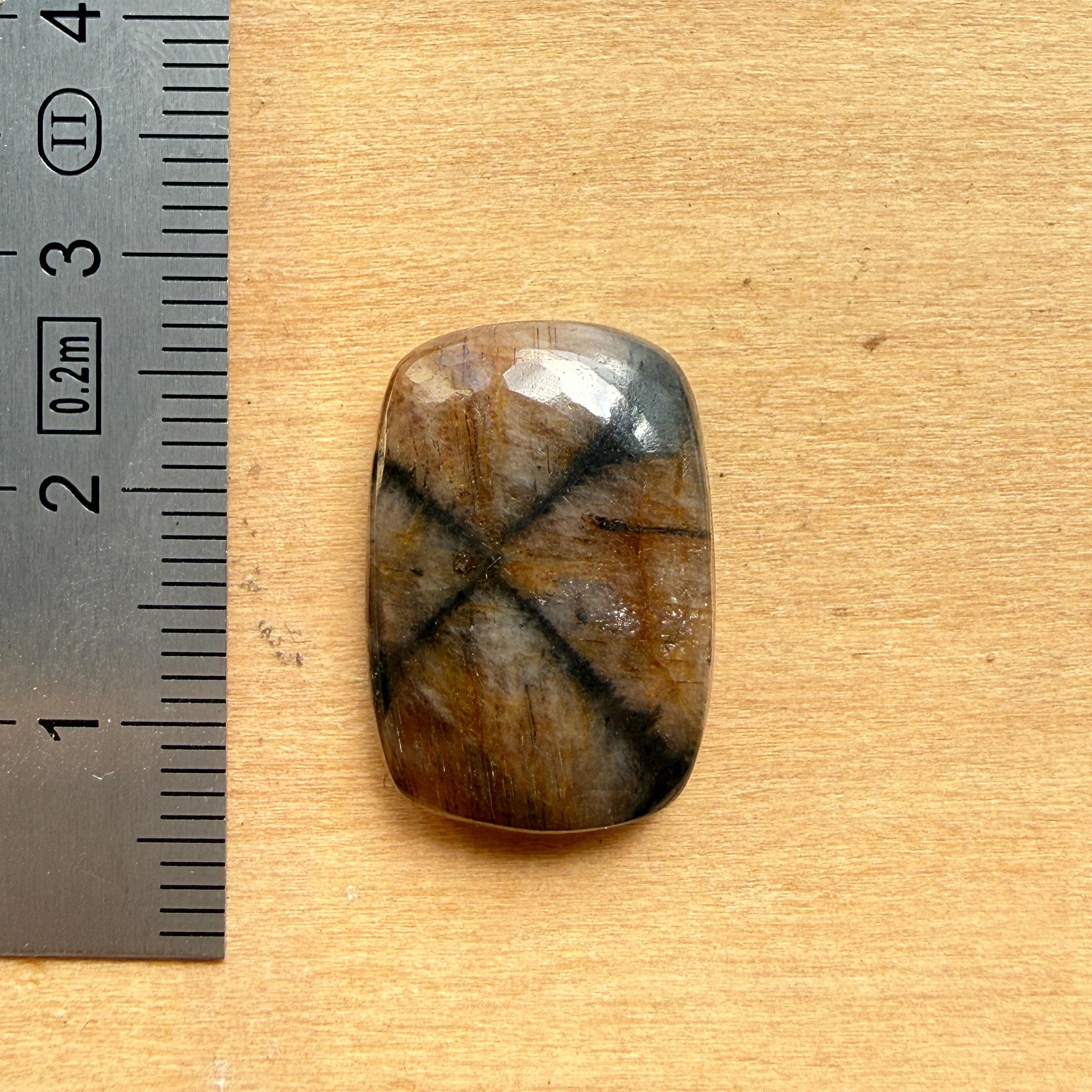 Cabochon Chiastolite