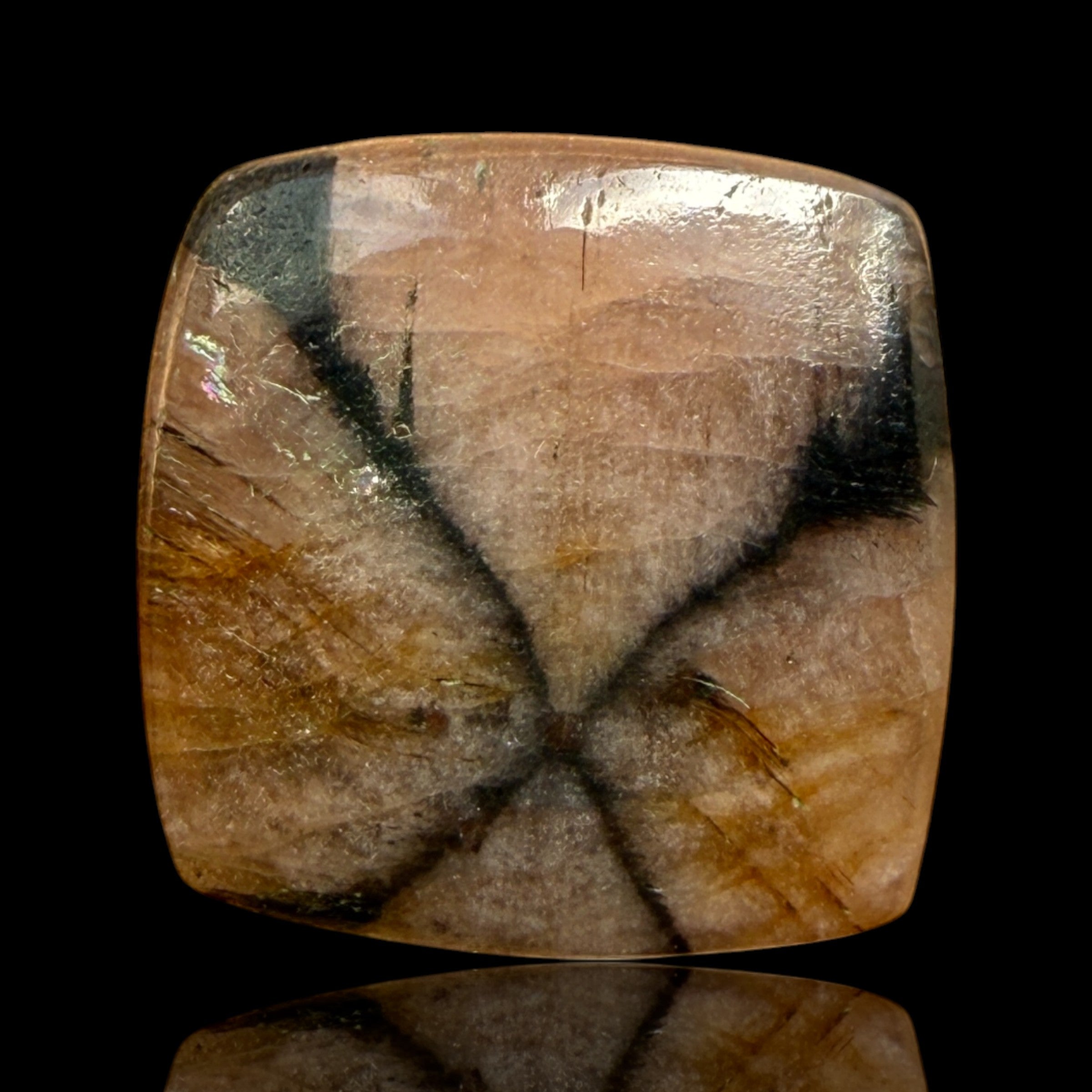 Cabochon Chiastolite