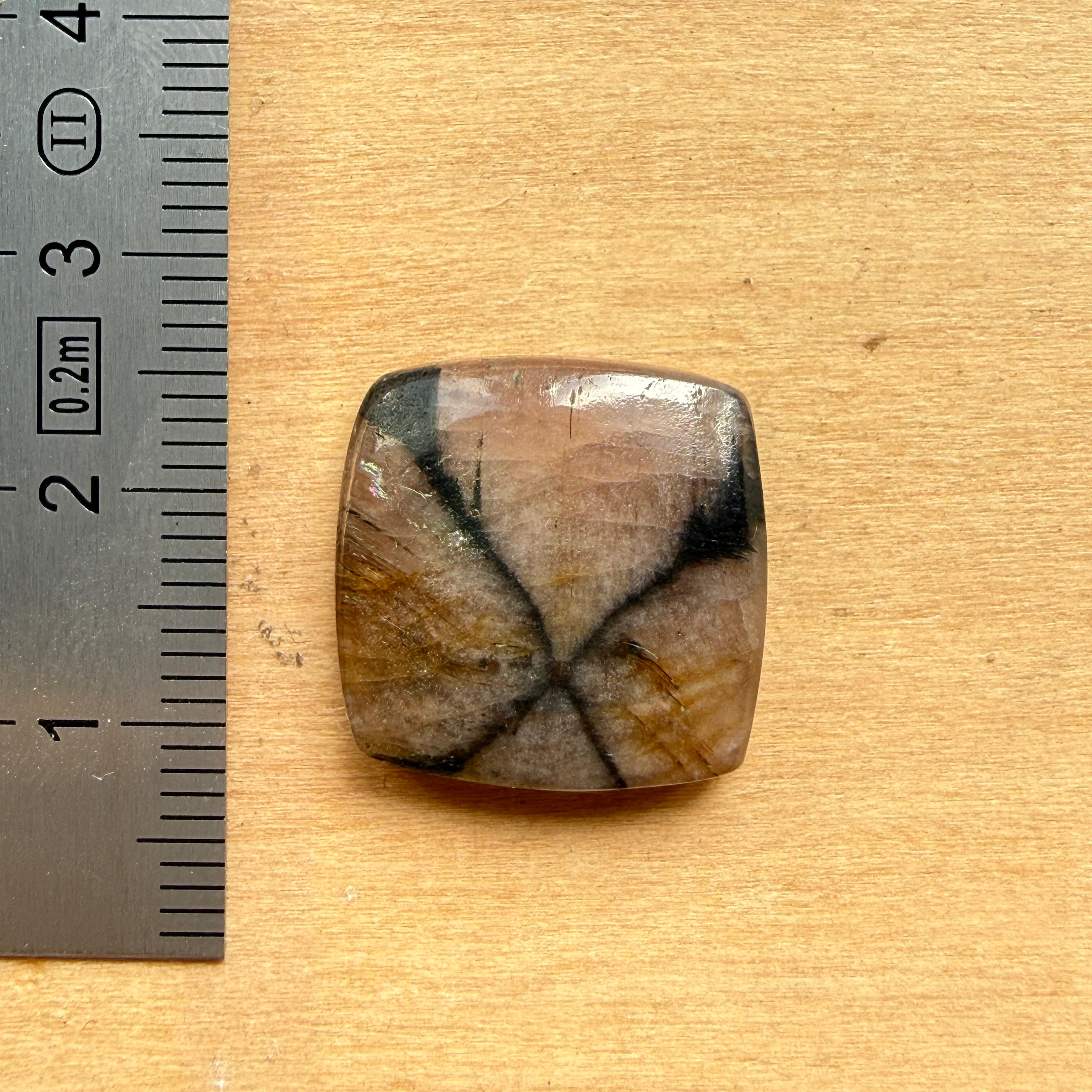 Cabochon Chiastolite
