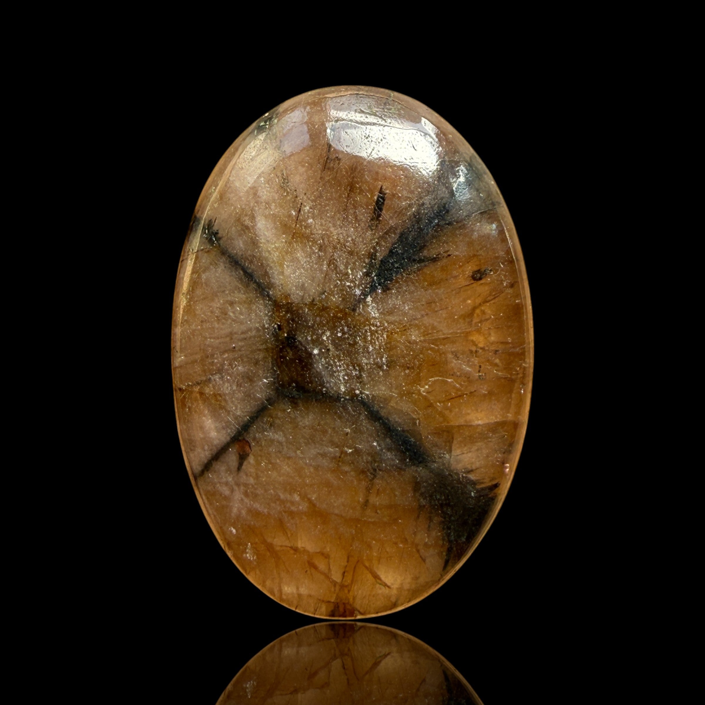Cabochon Chiastolite