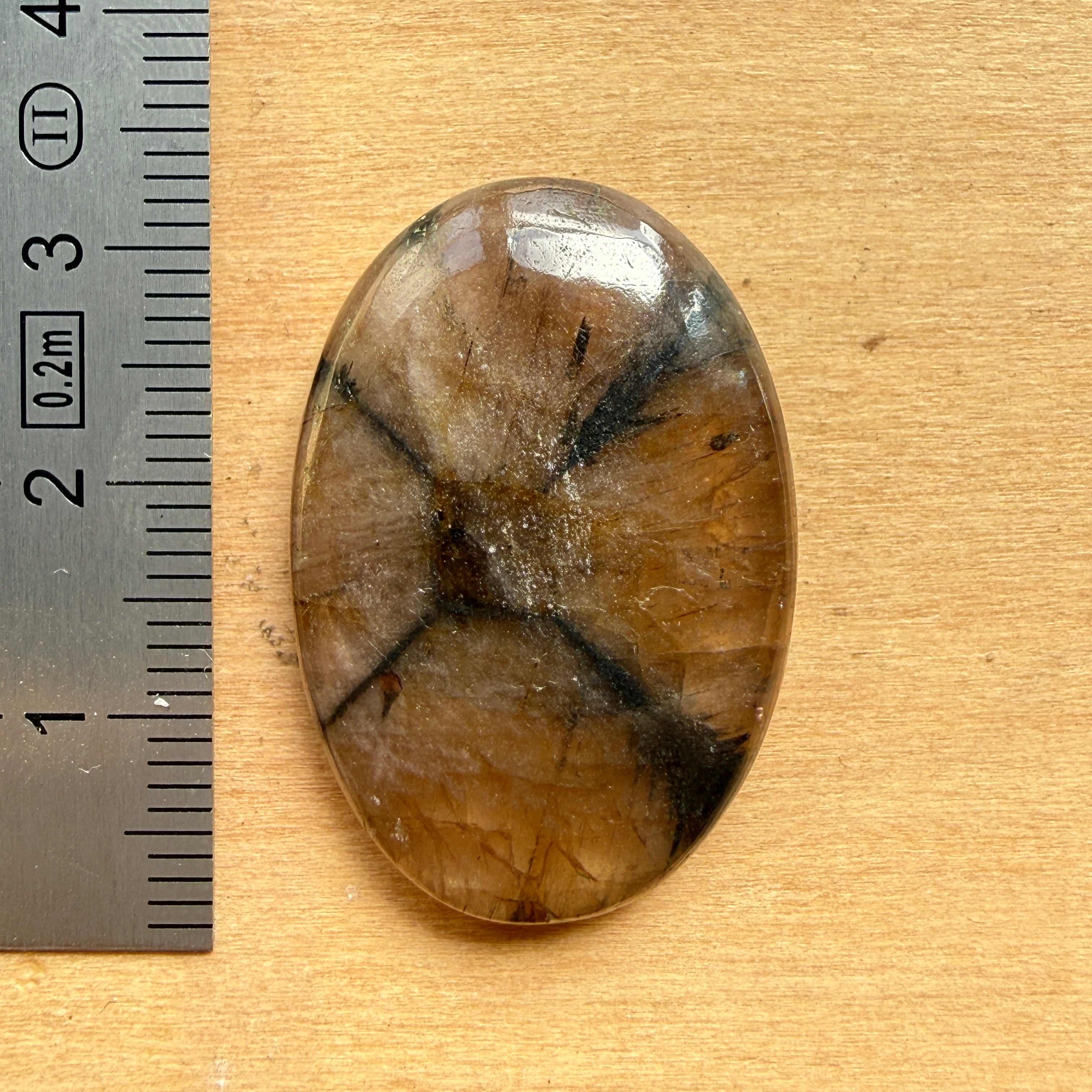 Cabochon Chiastolite