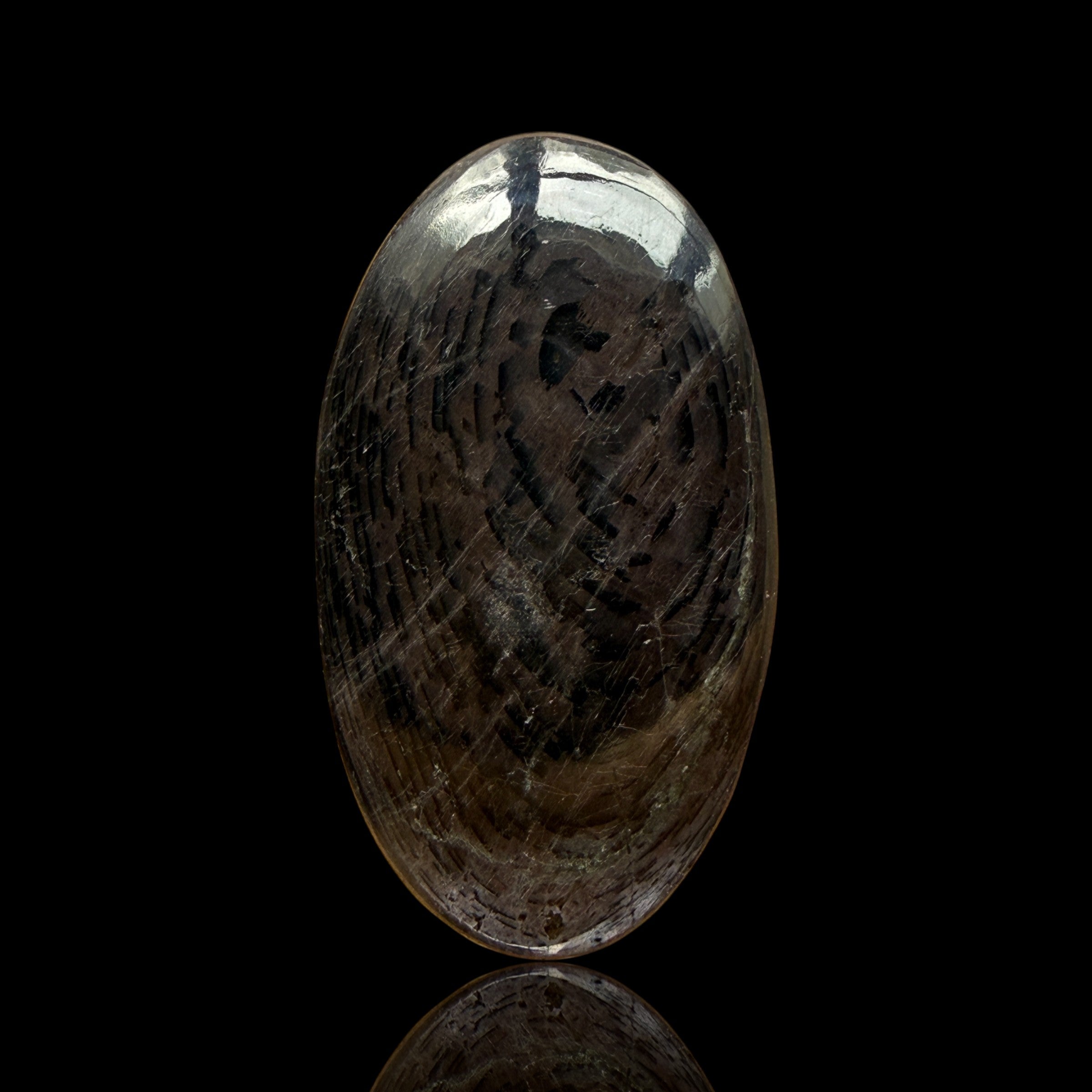 Cabochon Hypersthène
