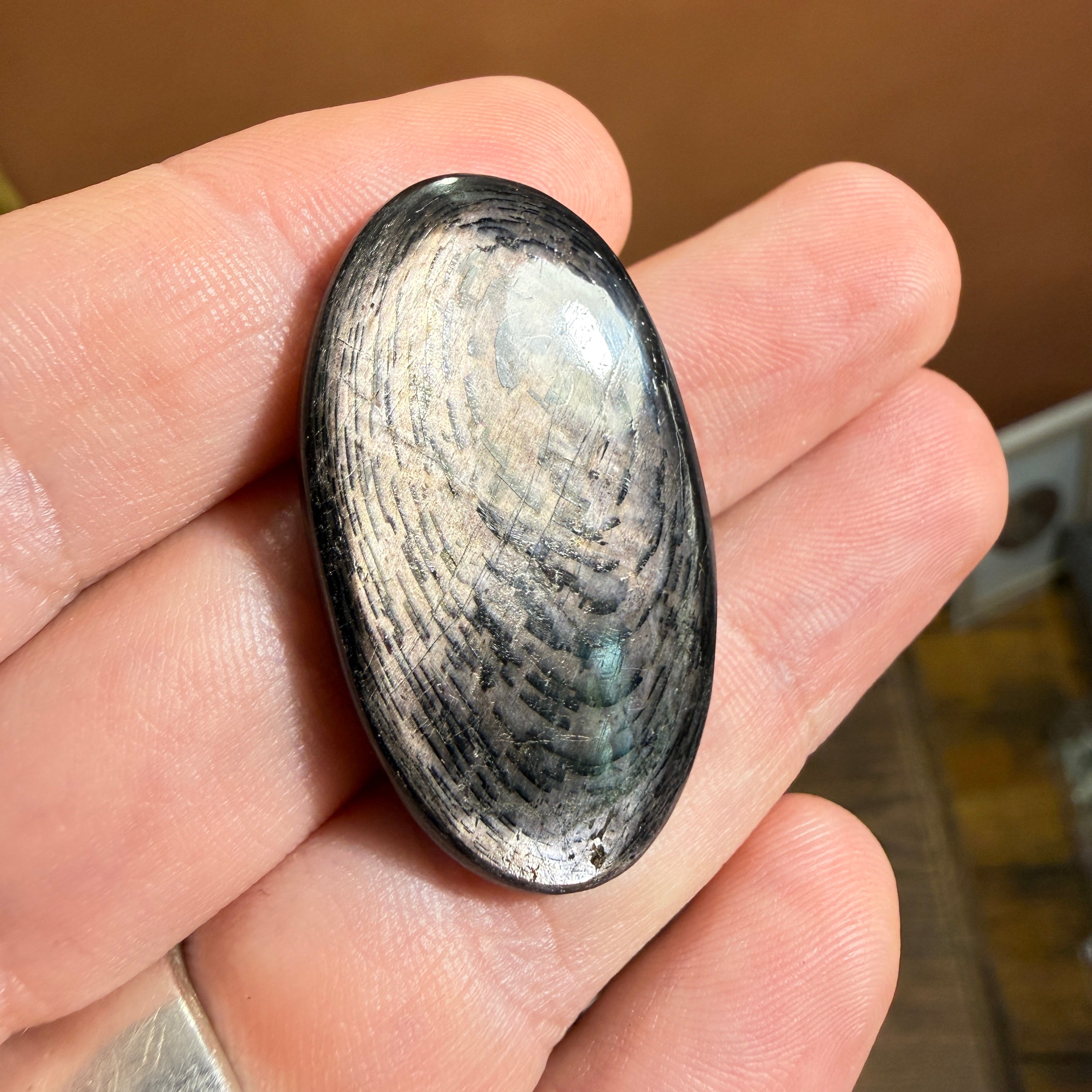 Cabochon Hypersthène
