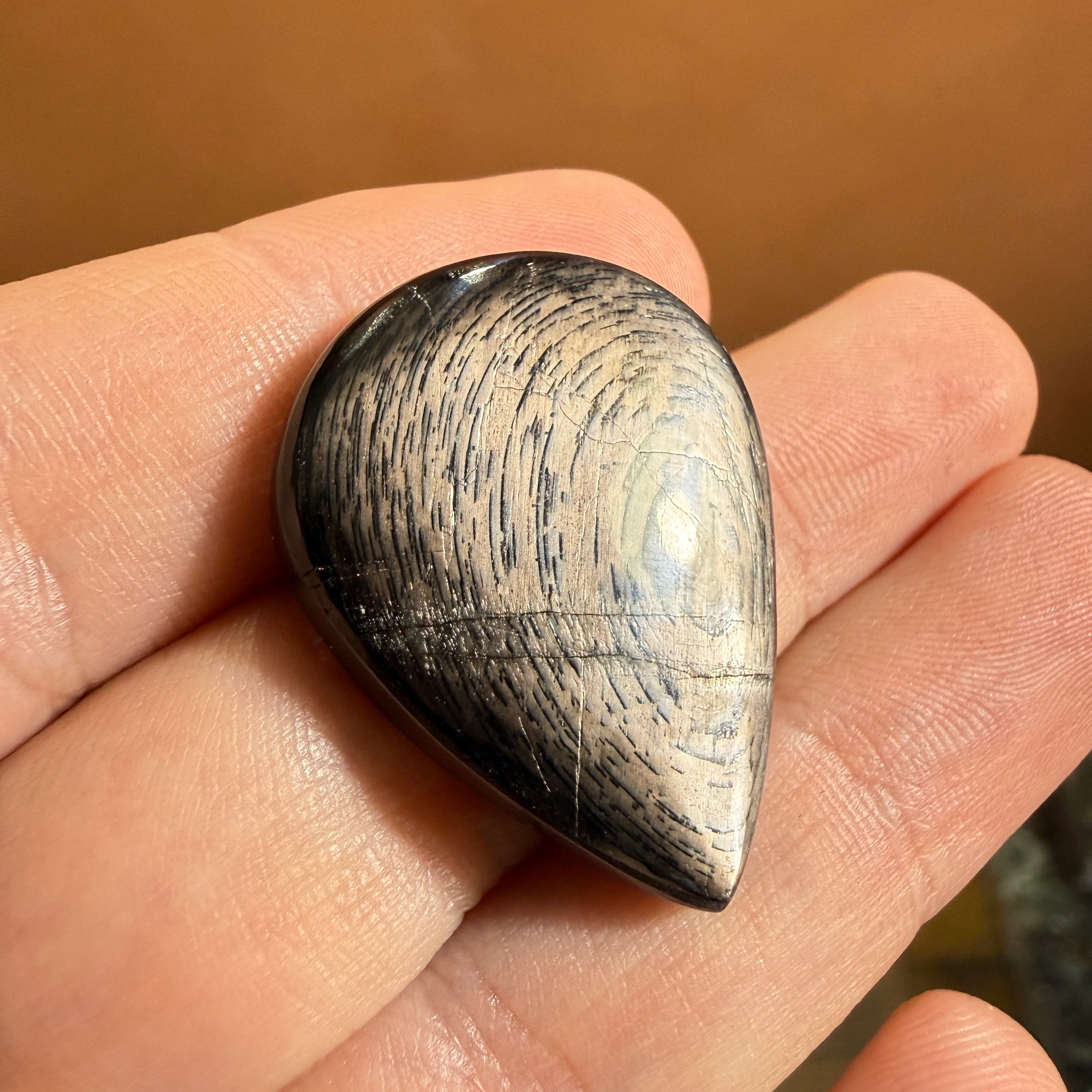 Cabochon Hypersthène