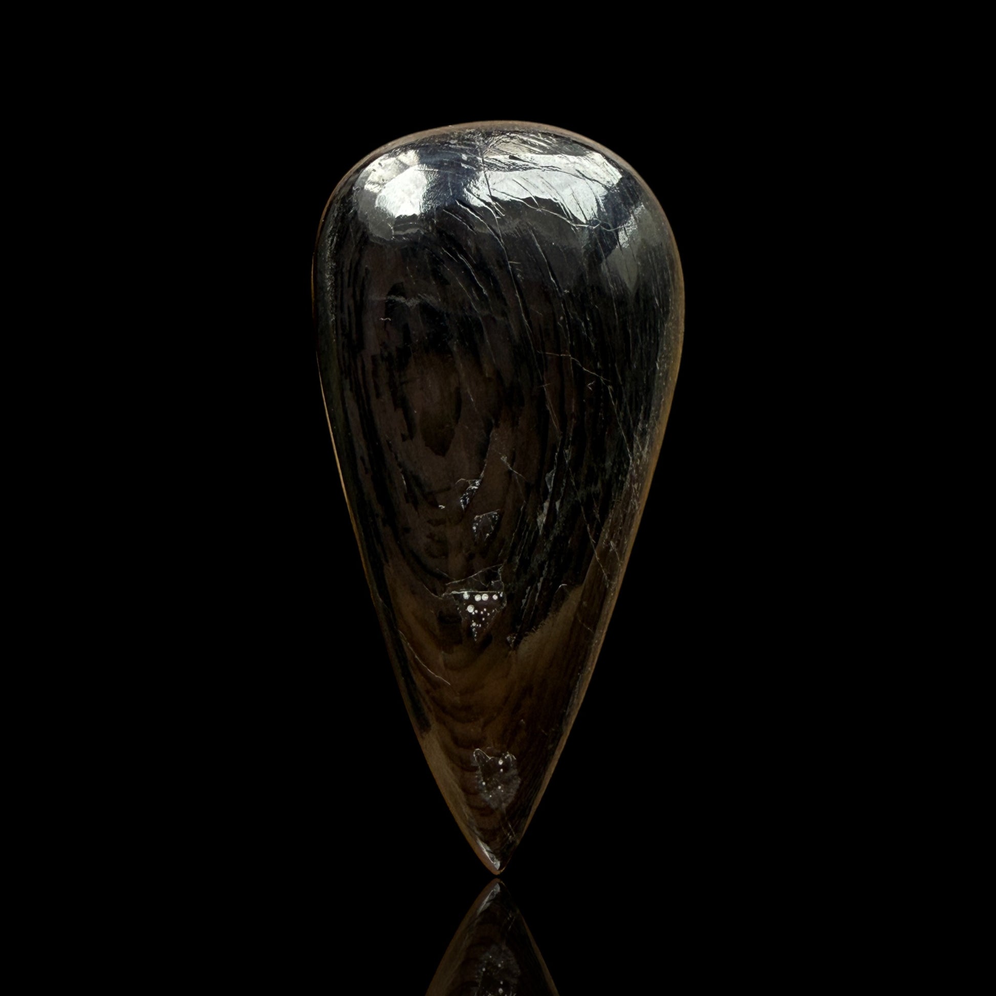 Cabochon Hypersthène