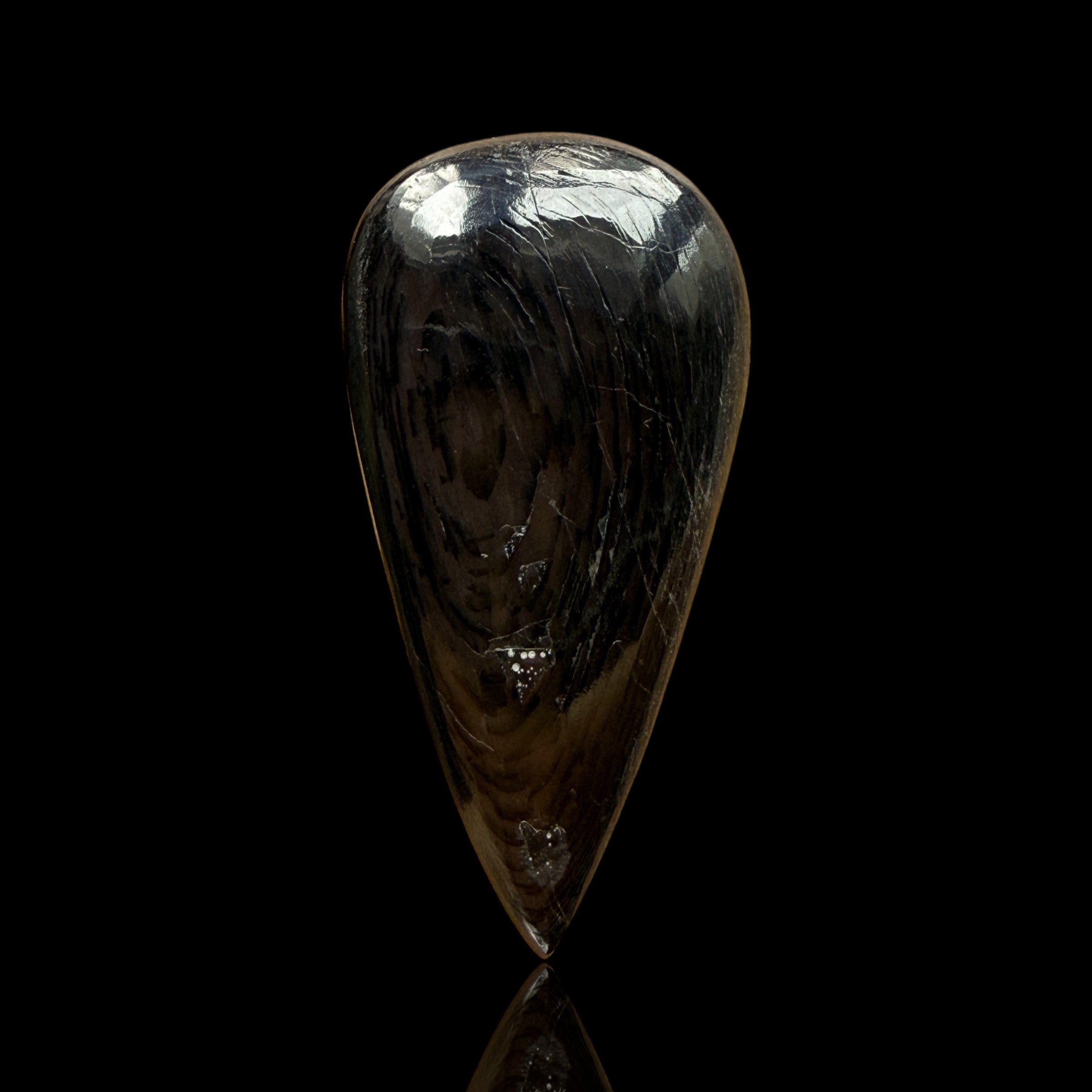Cabochon Hypersthène
