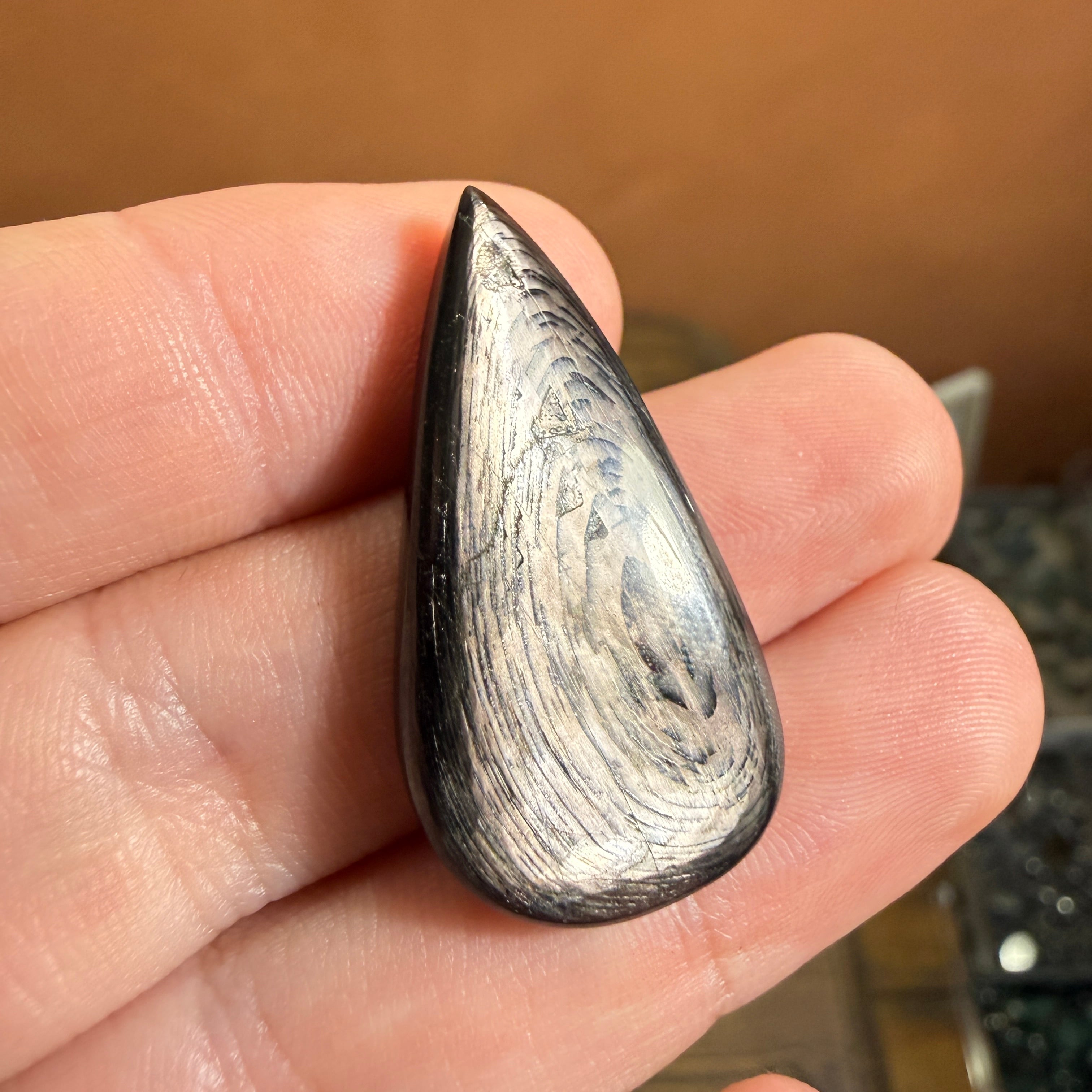 Cabochon Hypersthène