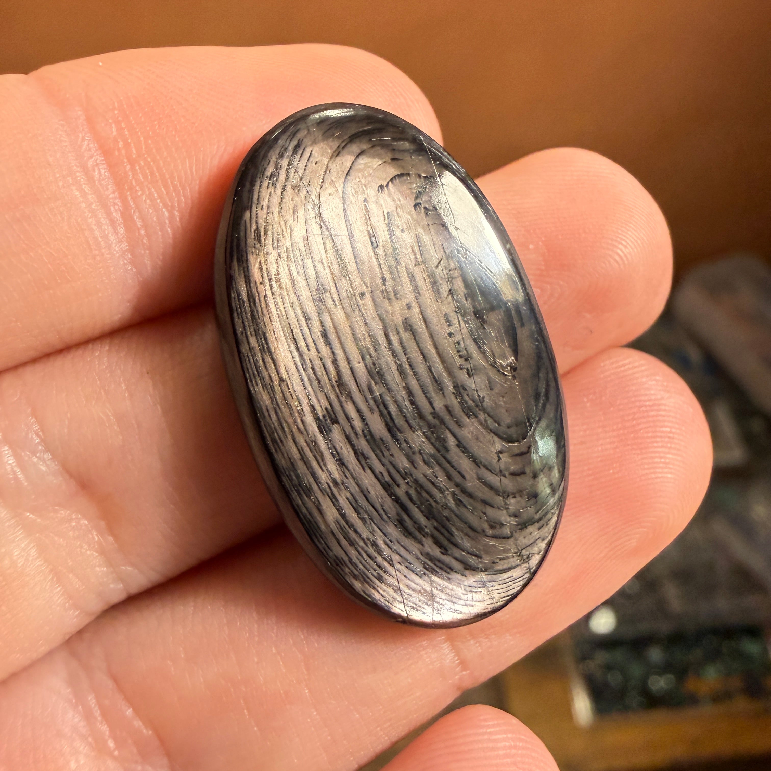 Cabochon Hypersthène