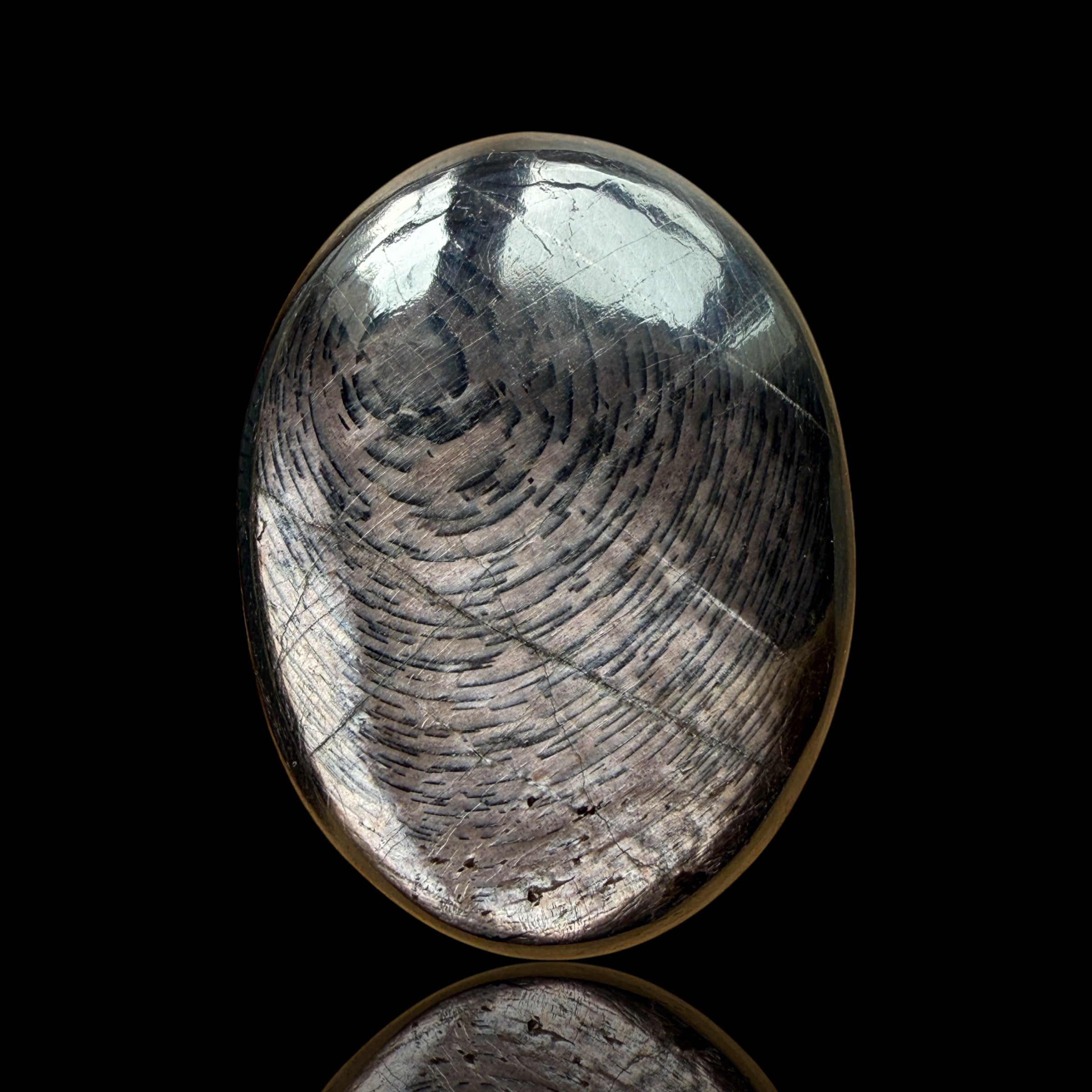 Cabochon Hypersthène