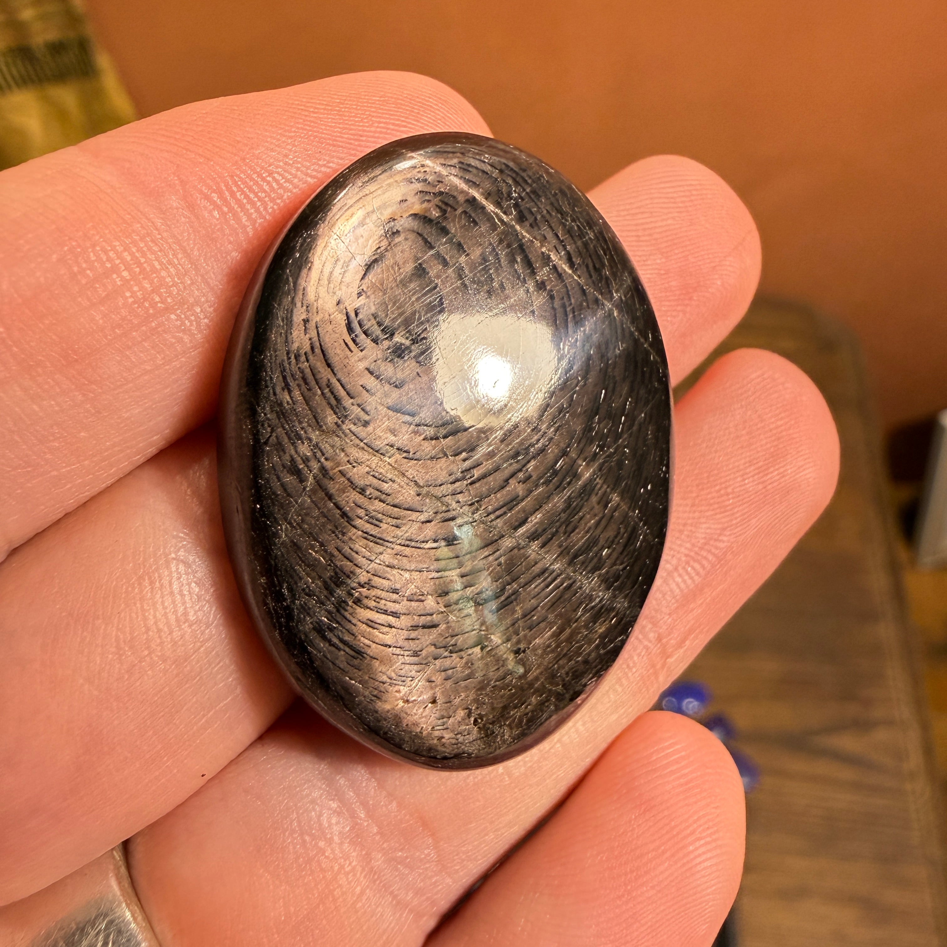 Cabochon Hypersthène