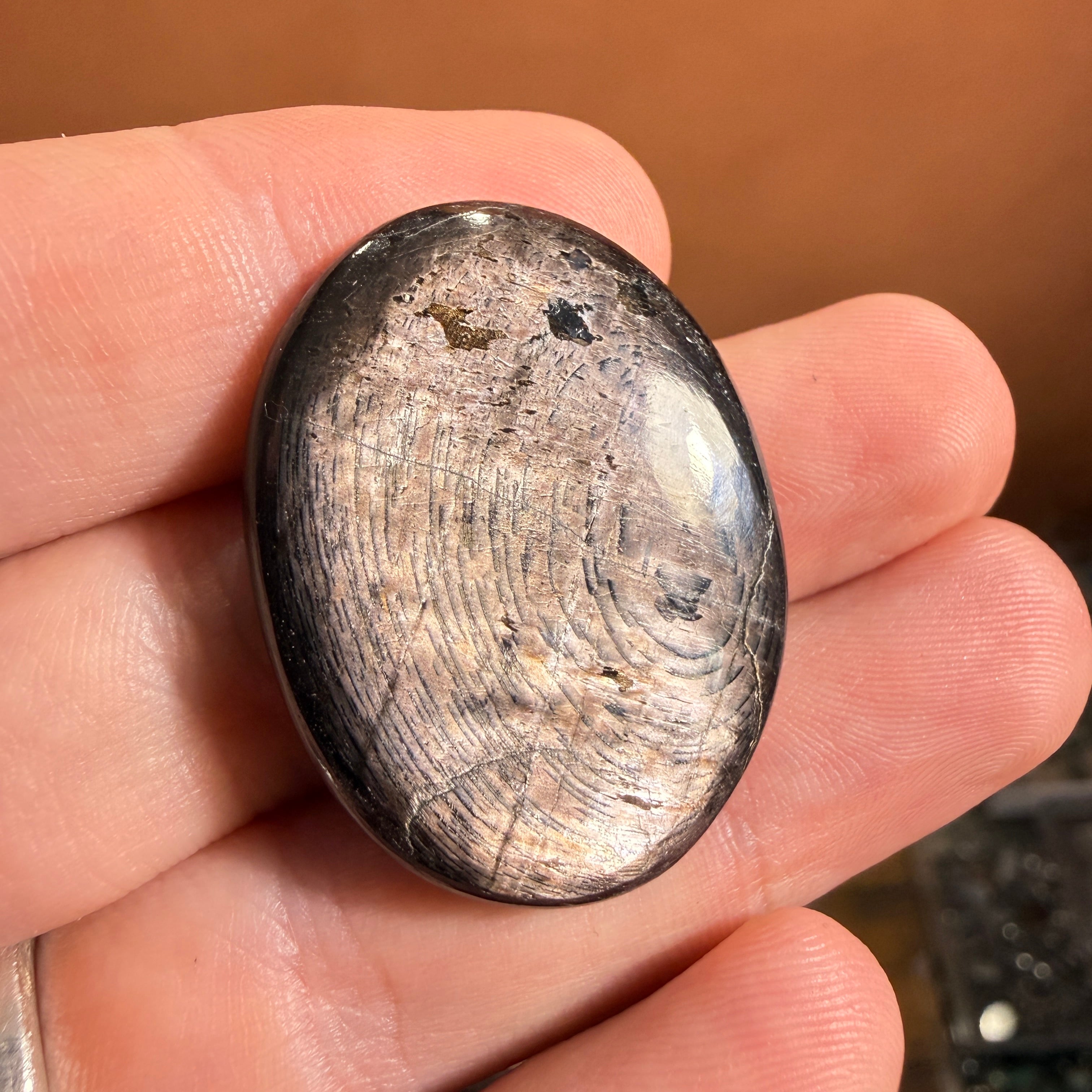Cabochon Hypersthène