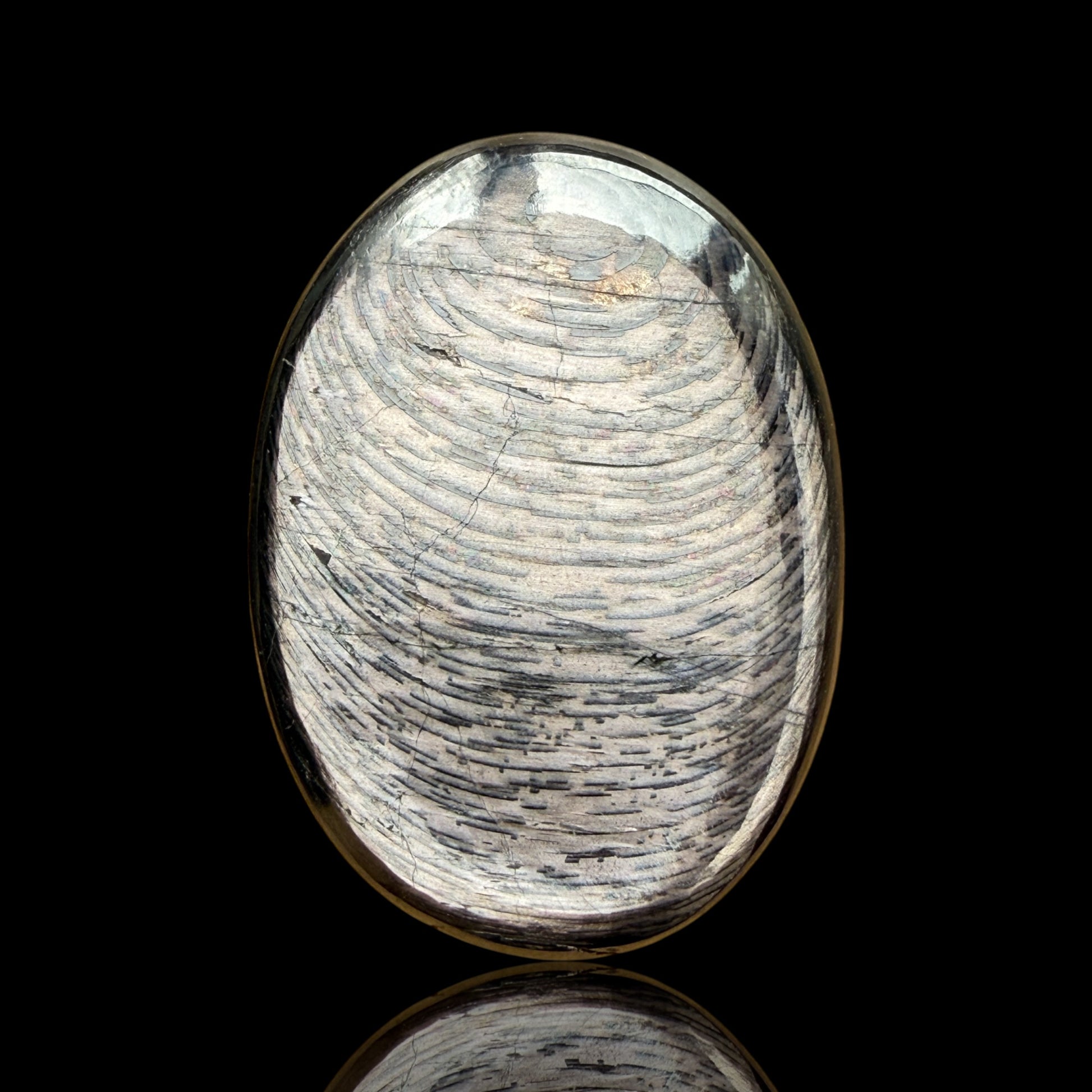 Cabochon Hypersthène